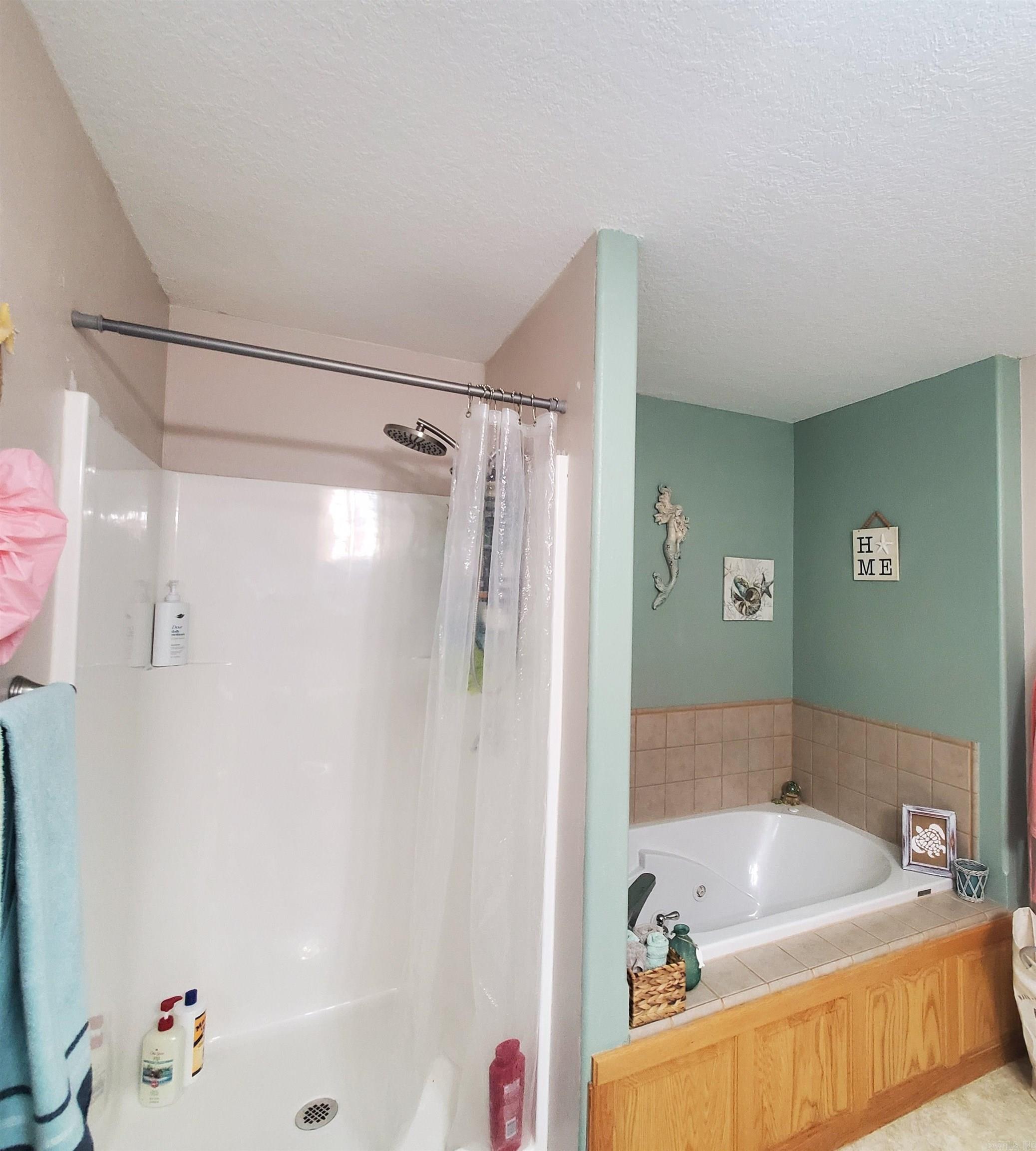 1308 Chimney Rock  Mountain View, AR