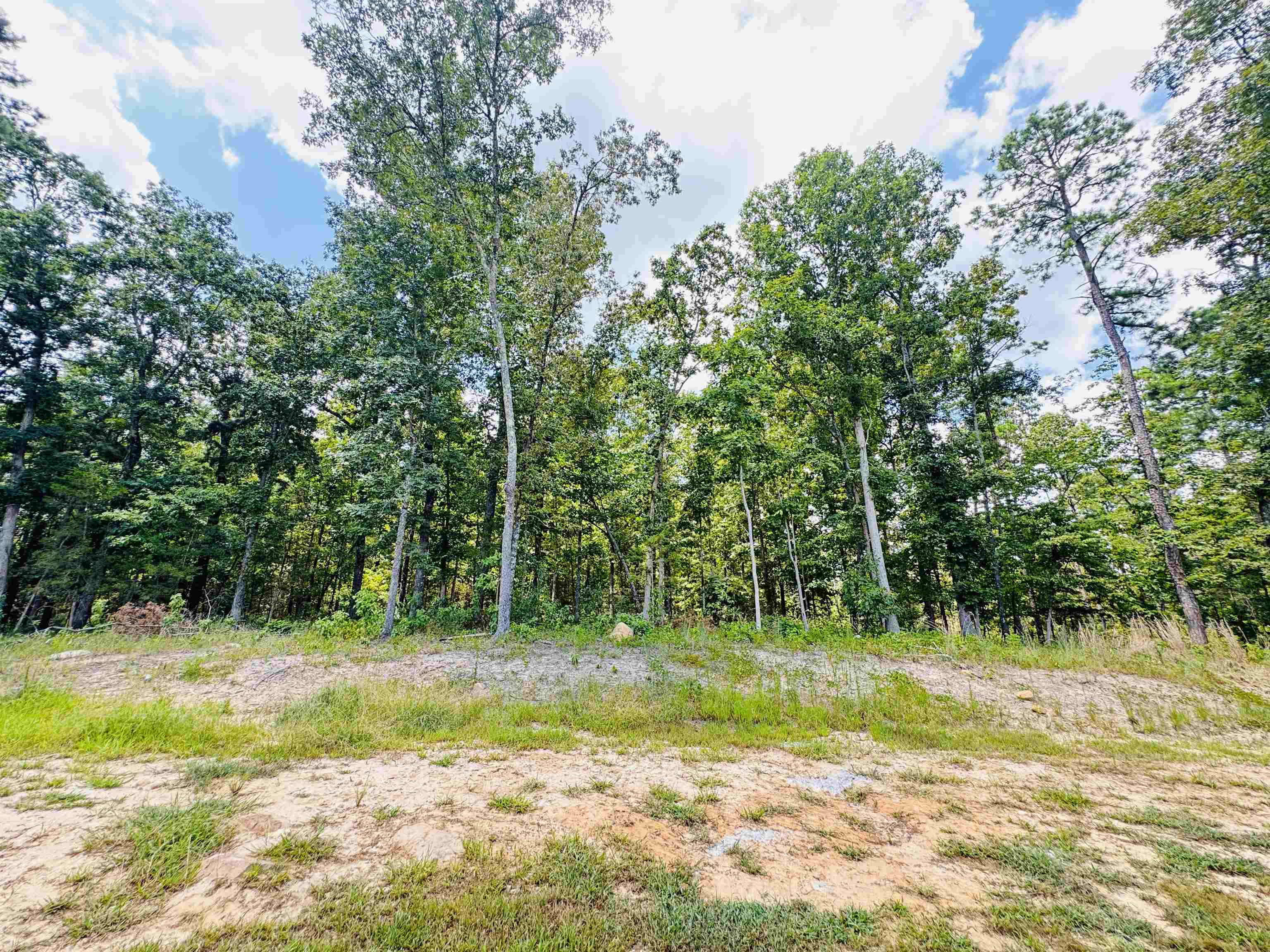 411 Lena  Oxford, AR