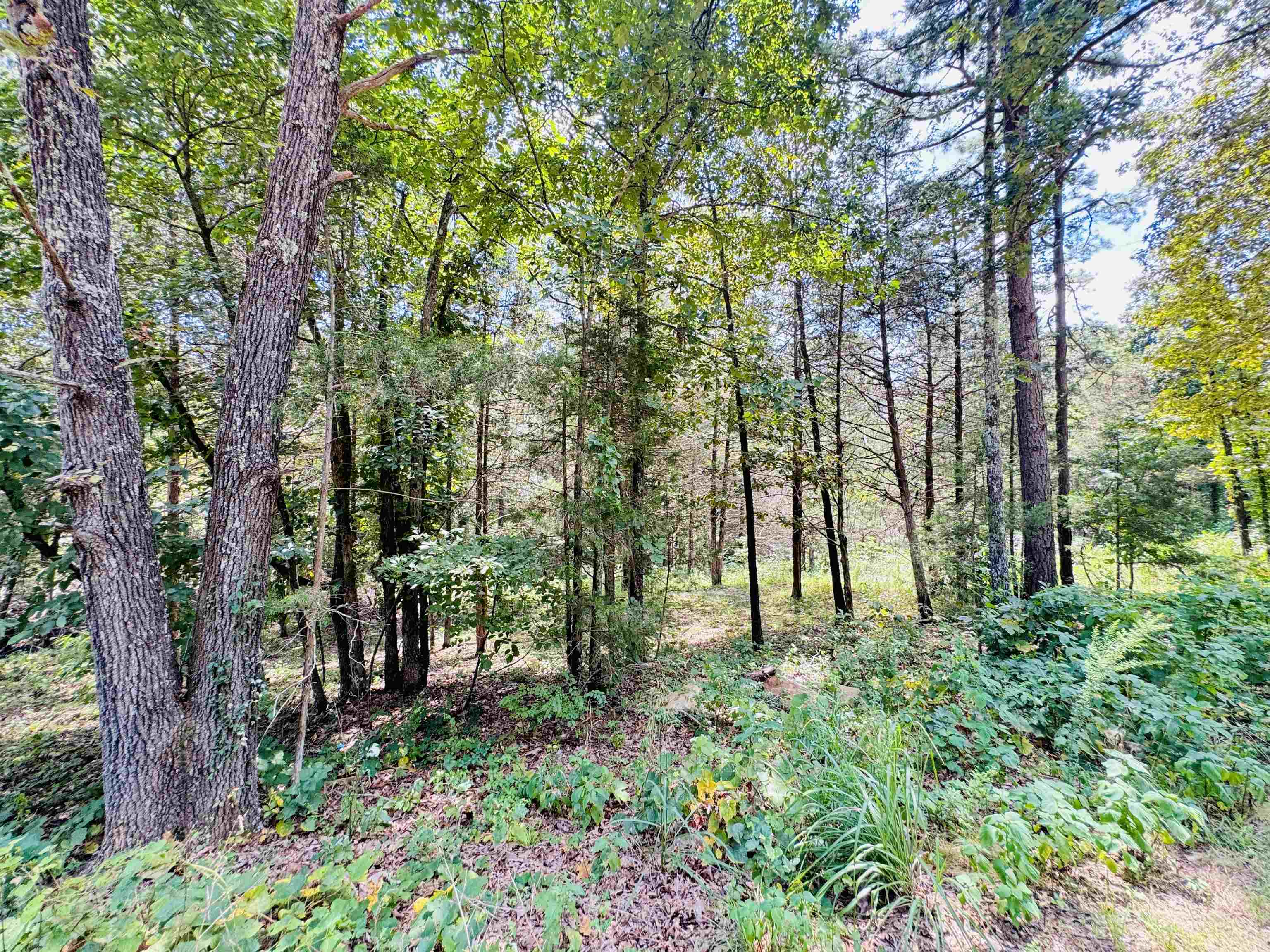 411 Lena  Oxford, AR