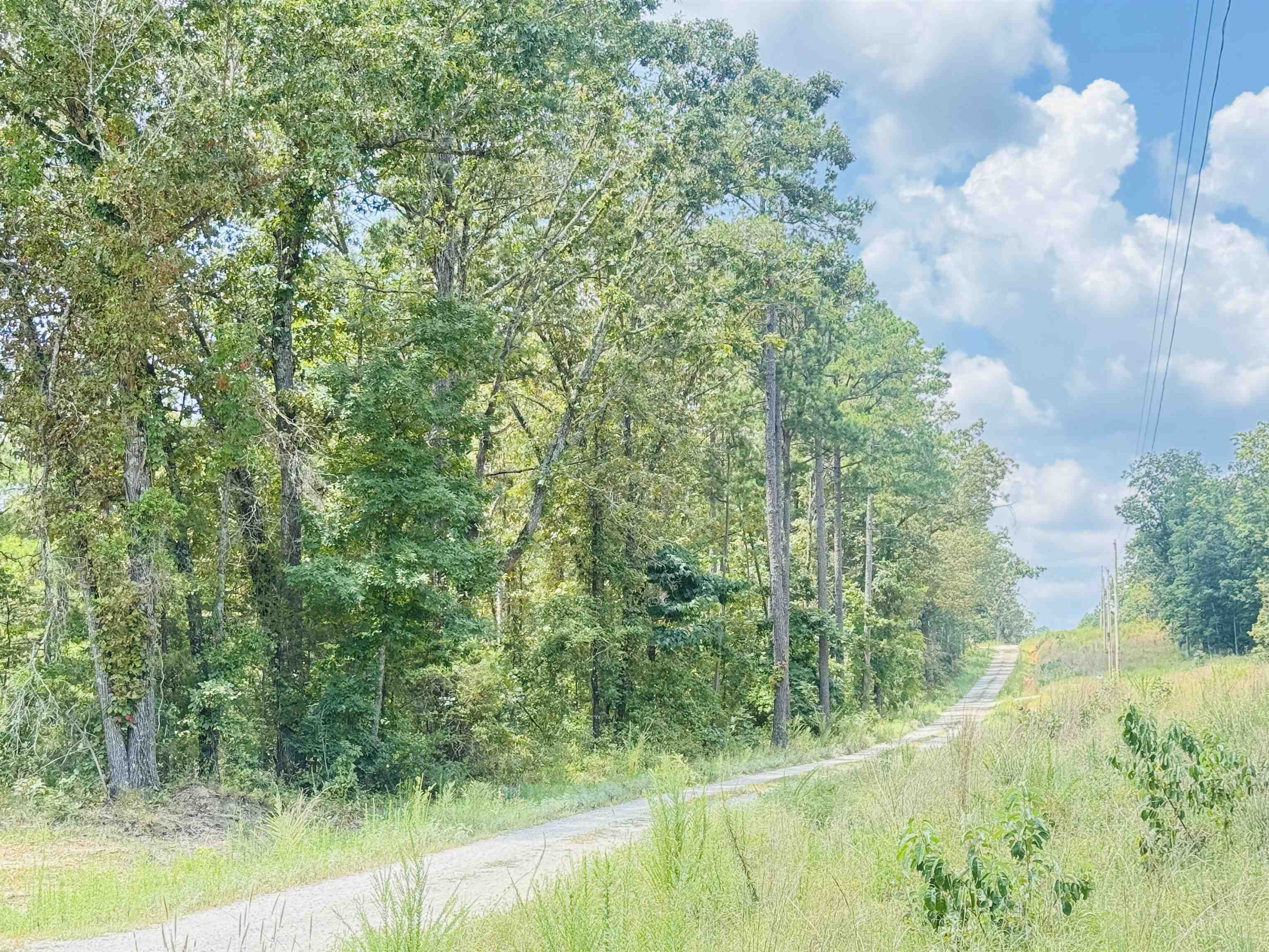 411 Lena  Oxford, AR