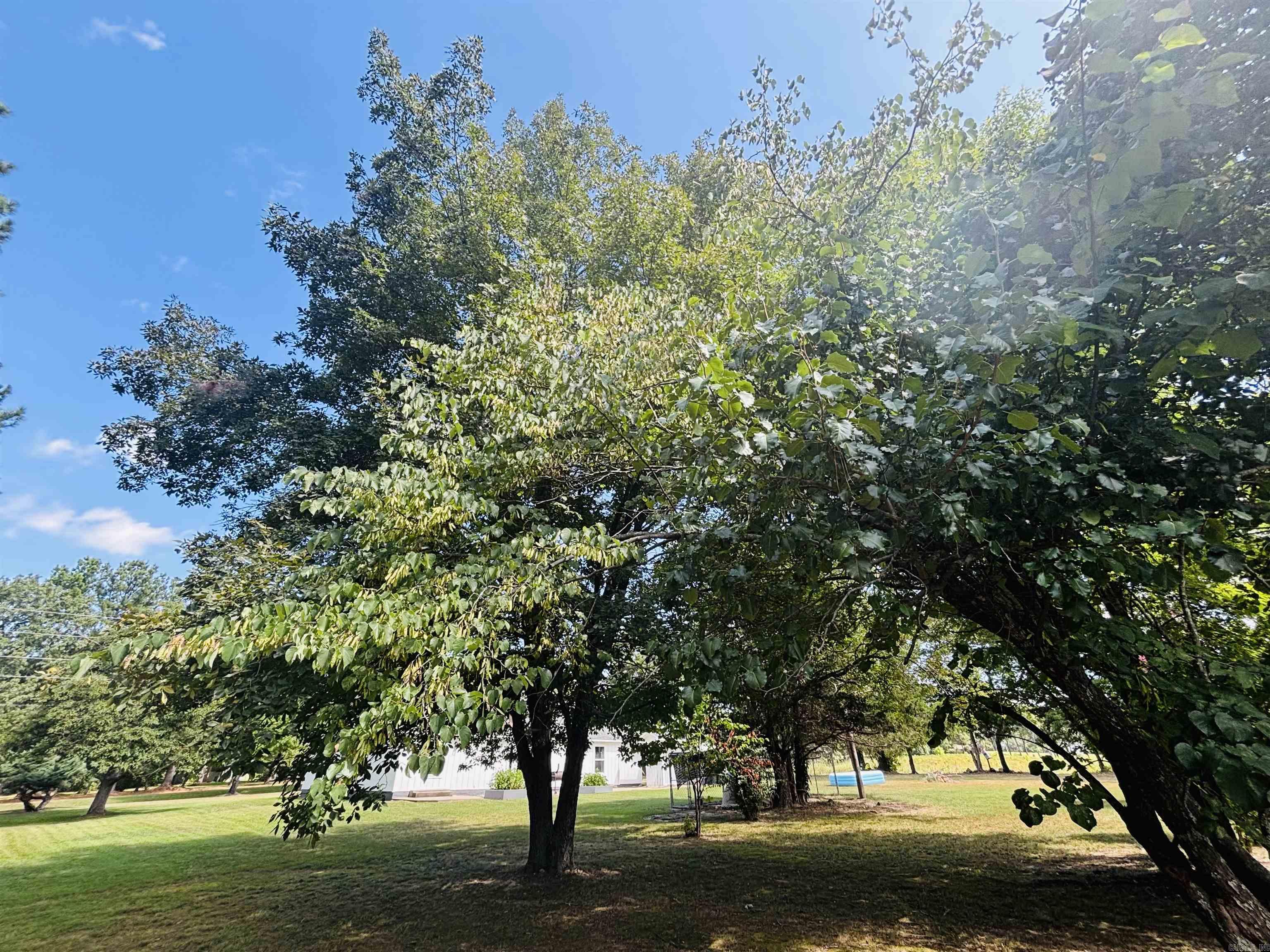 706 N 333  Marshall, AR