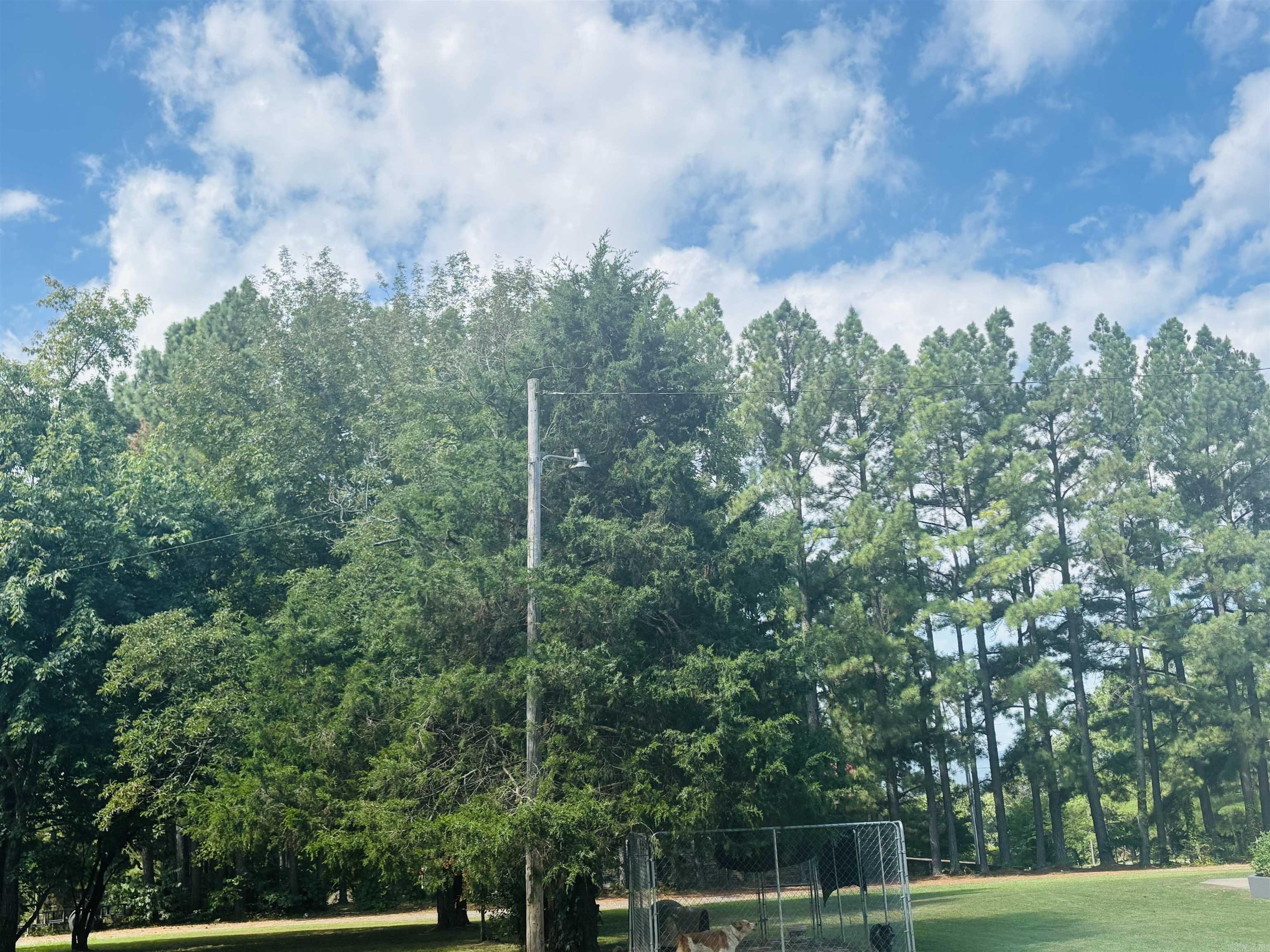 706 N 333  Marshall, AR