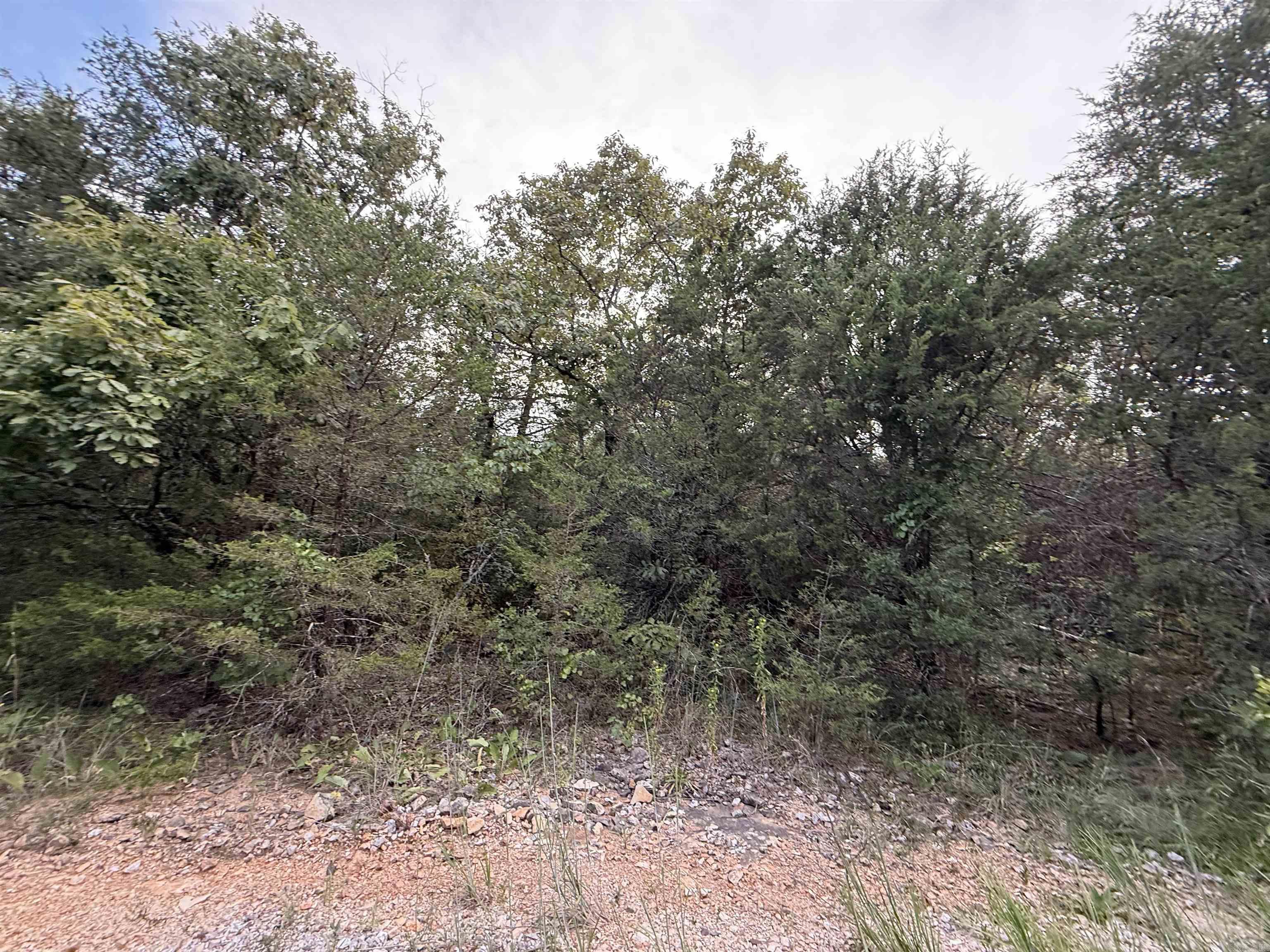 0 Big Buck Lane  Williford, AR