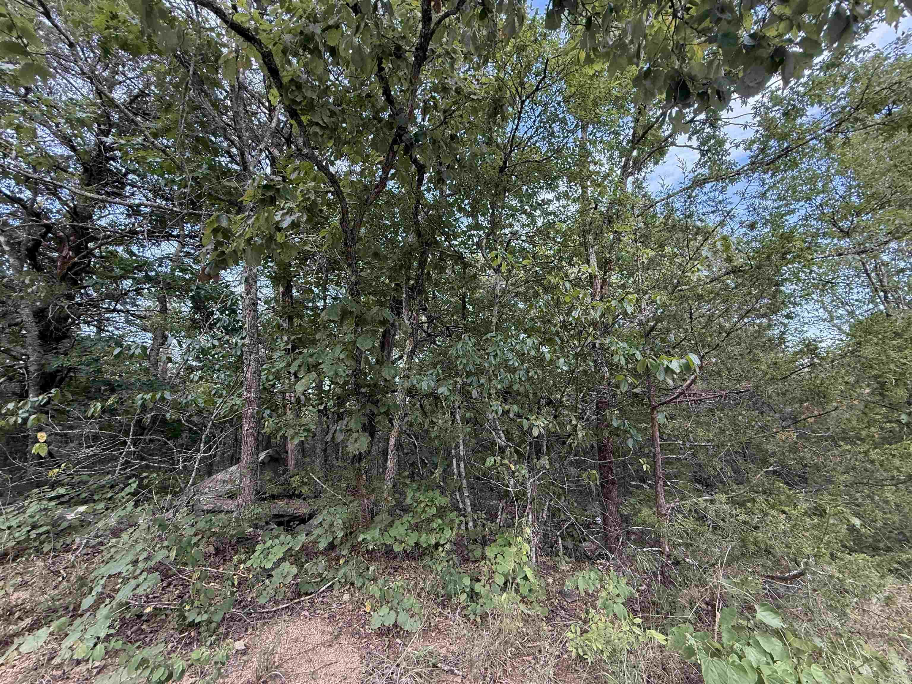 0 Big Buck Lane  Williford, AR