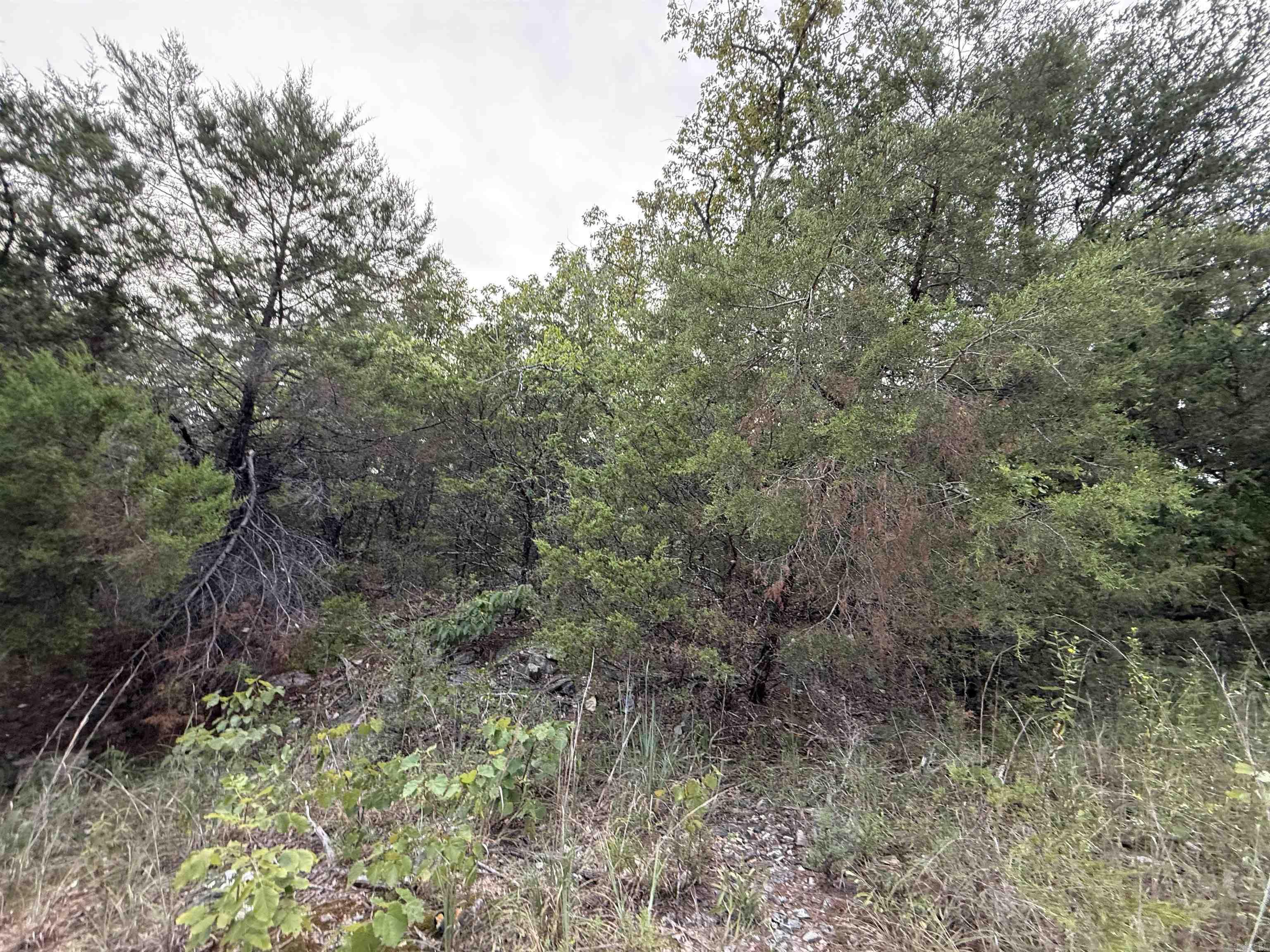 0 Big Buck Lane  Williford, AR