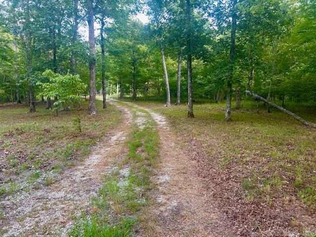 3558 Sunny Fox Road Mountain View, AR 72560