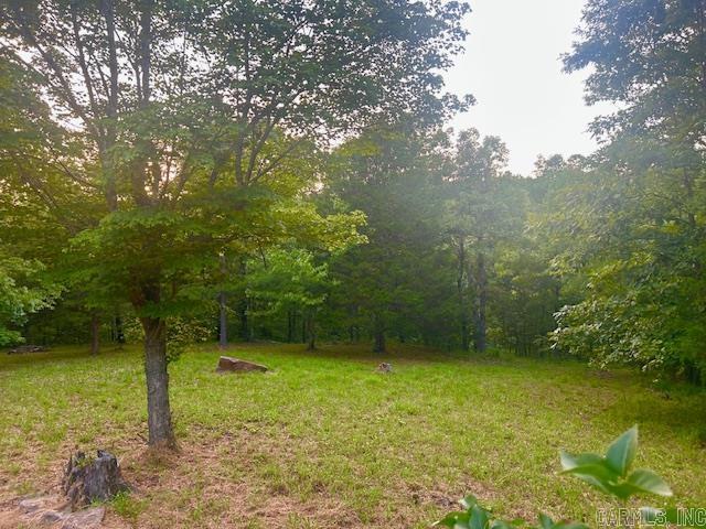 3558 Sunny Fox Road Mountain View, AR 72560