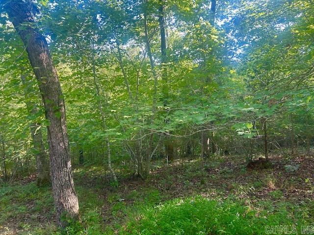3558 Sunny Fox Road Mountain View, AR 72560