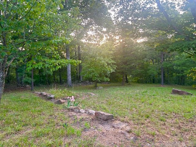 3558 Sunny Fox Road Mountain View, AR 72560