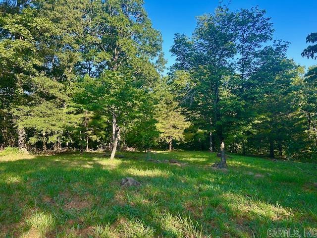 3558 Sunny Fox Road Mountain View, AR 72560