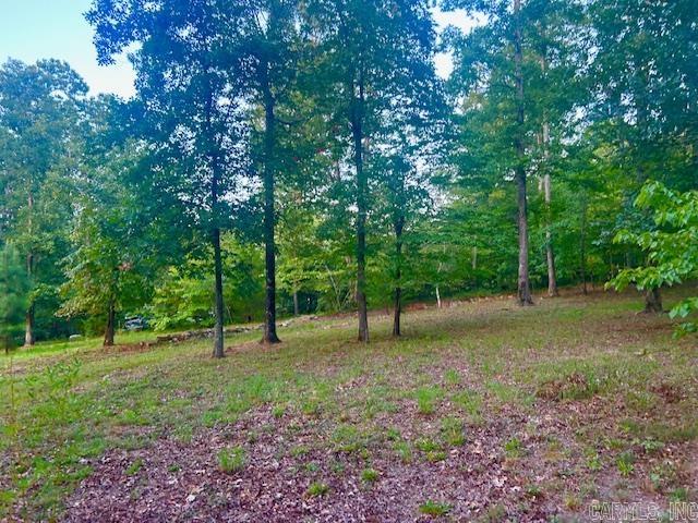 3558 Sunny Fox Road Mountain View, AR 72560