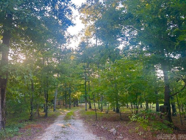 3558 Sunny Fox Road Mountain View, AR 72560