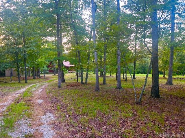 3558 Sunny Fox Road Mountain View, AR 72560