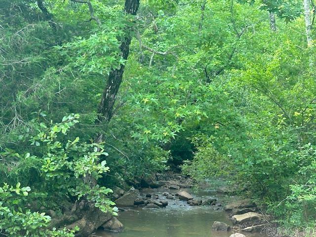 3558 Sunny Fox Road Mountain View, AR 72560