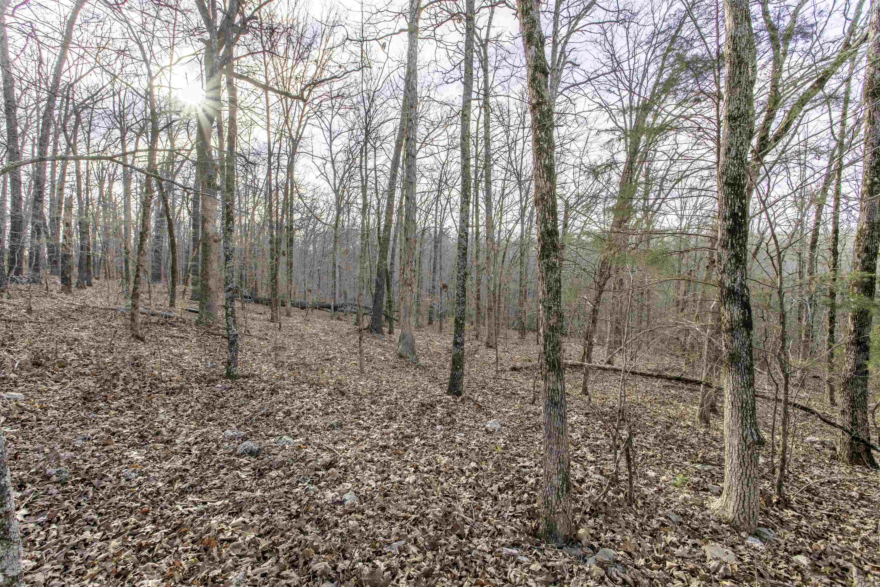 Lot 4 Oak Ridge  Hardy, AR