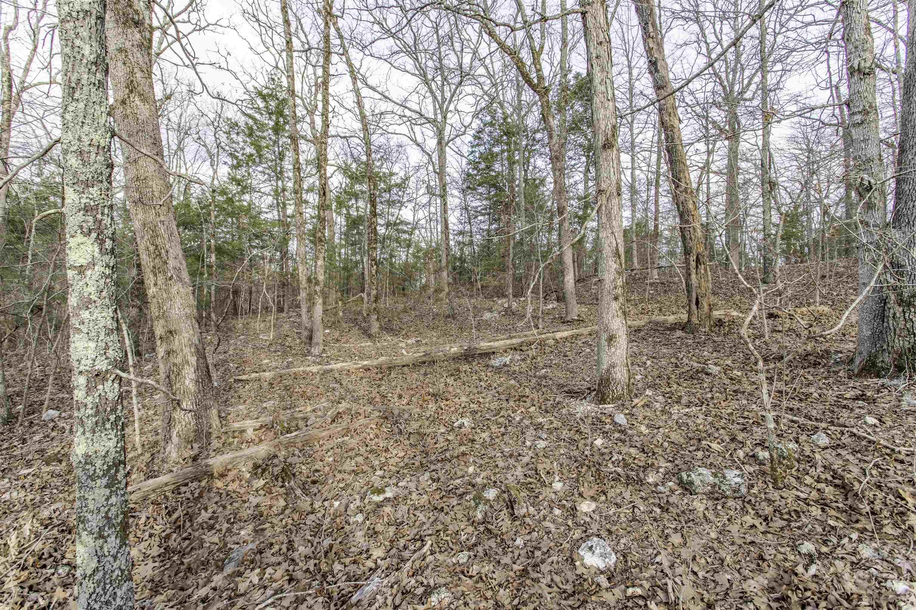 Lot 4 Oak Ridge  Hardy, AR