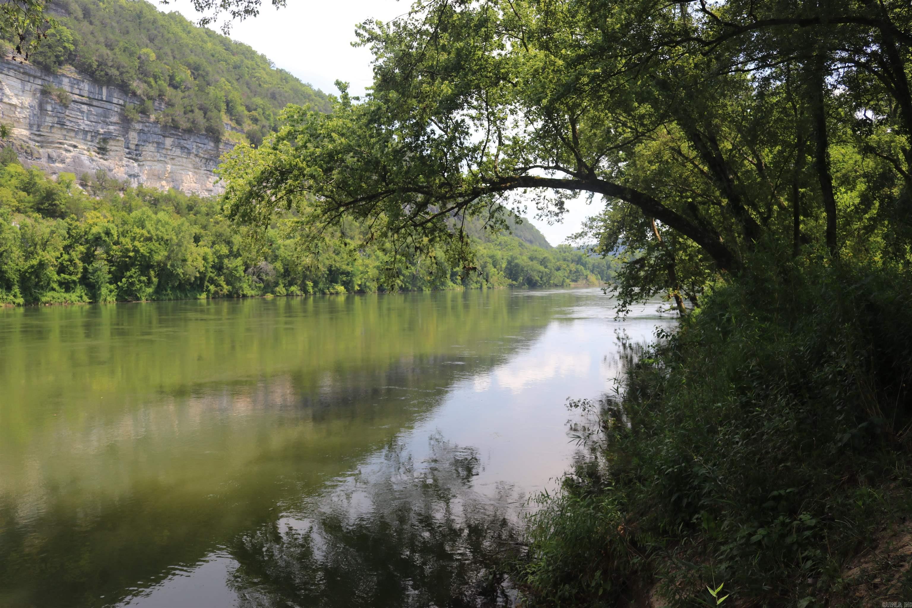  Handford Bluff  Mountain View, AR