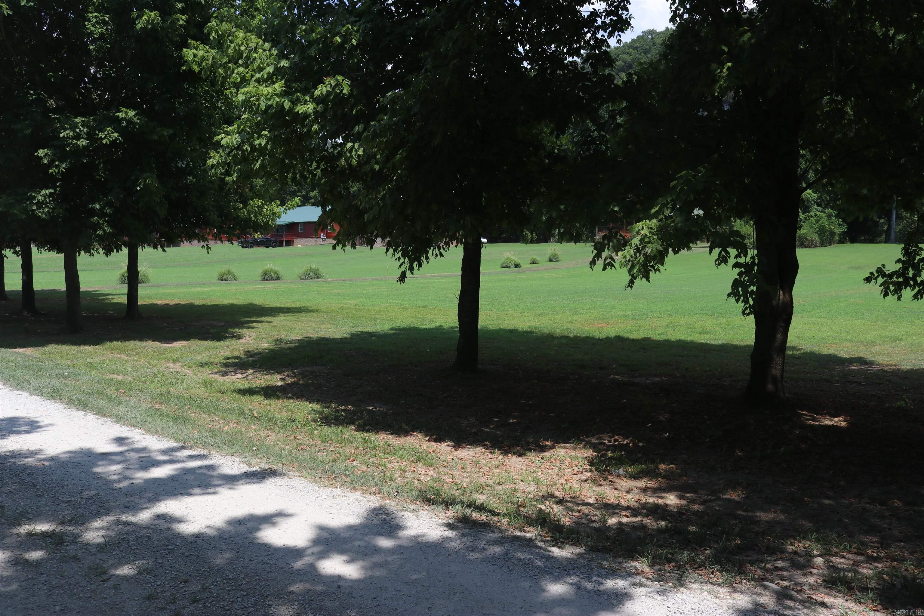  Handford Bluff  Mountain View, AR