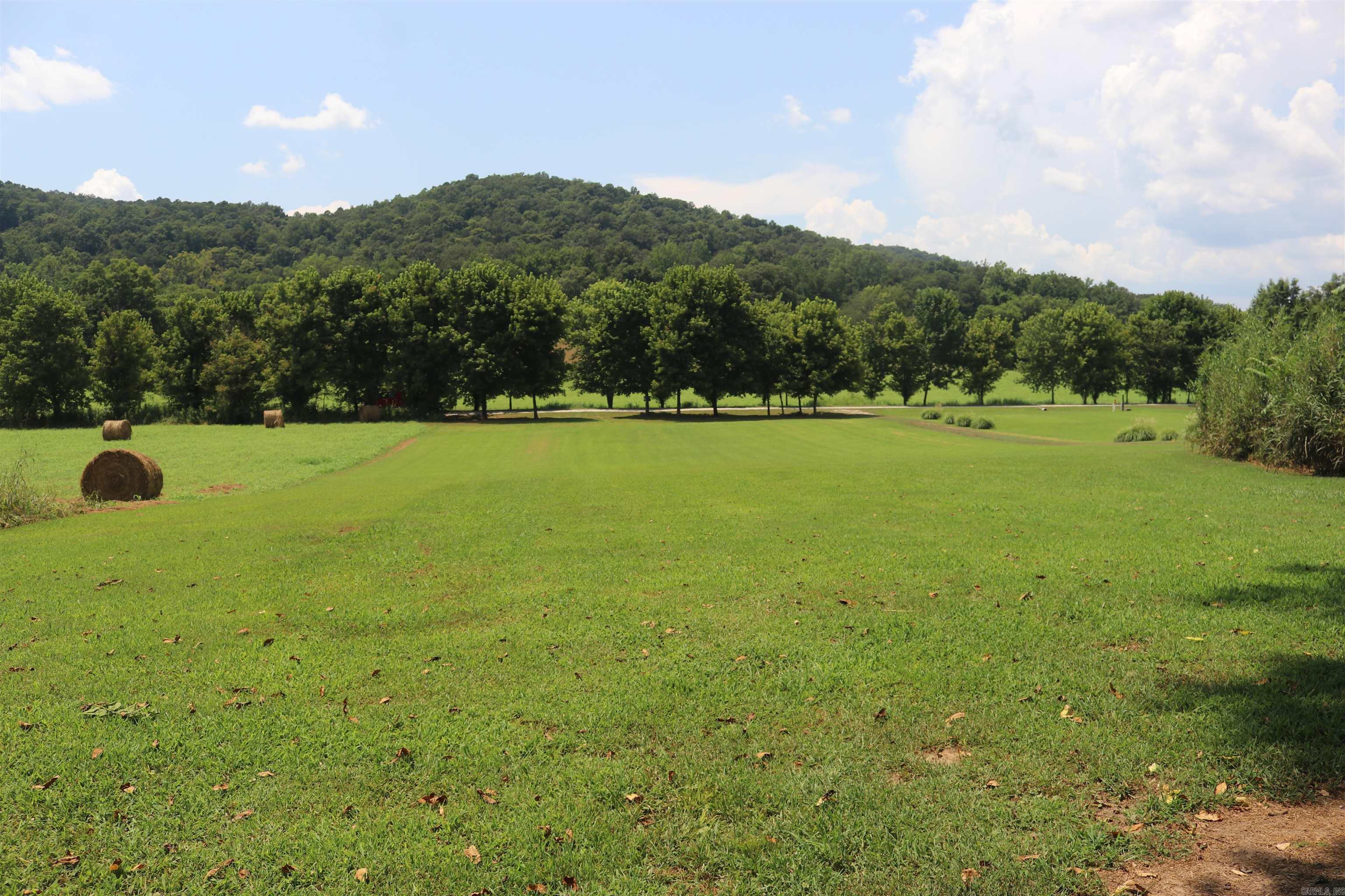  Handford Bluff  Mountain View, AR