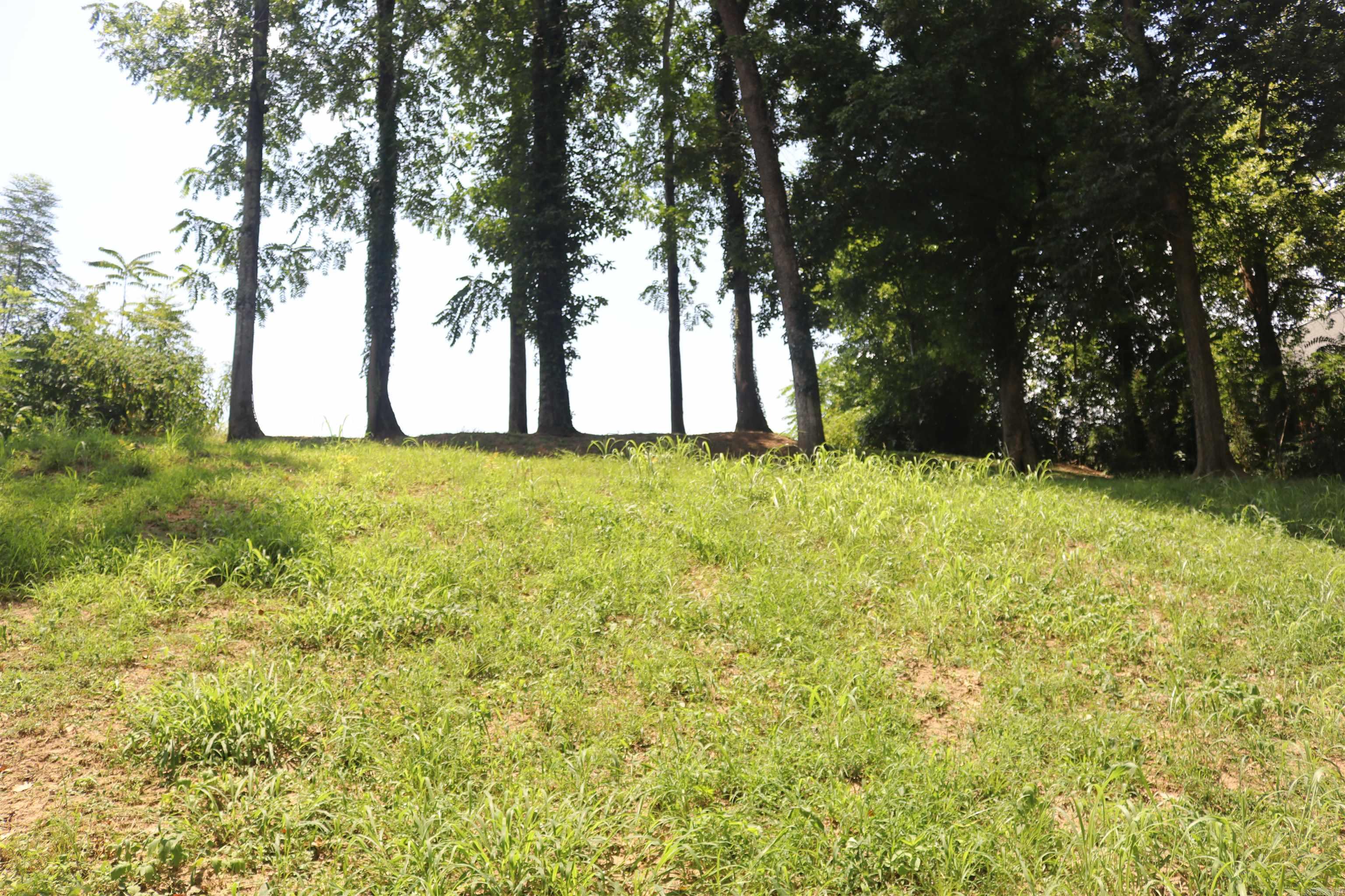  Handford Bluff  Mountain View, AR