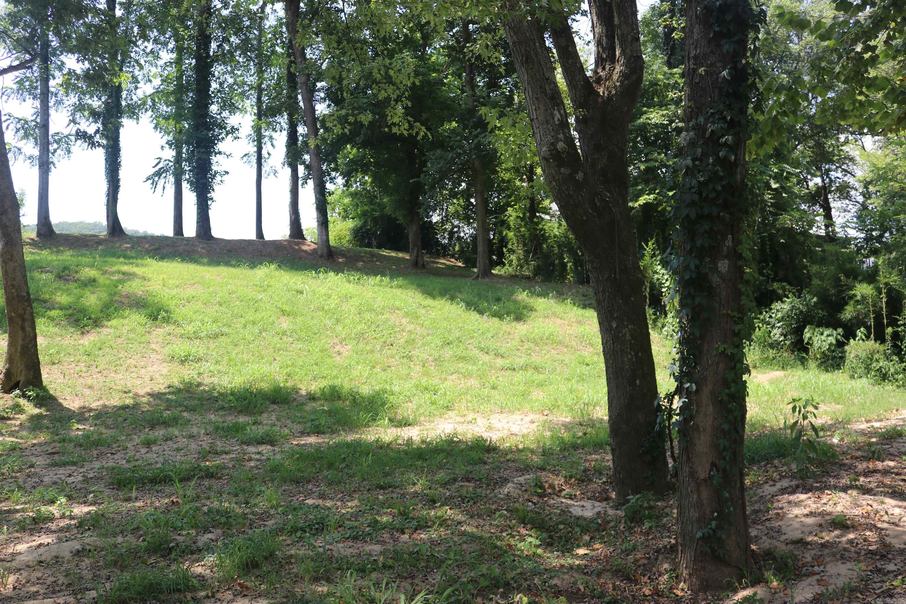  Handford Bluff  Mountain View, AR