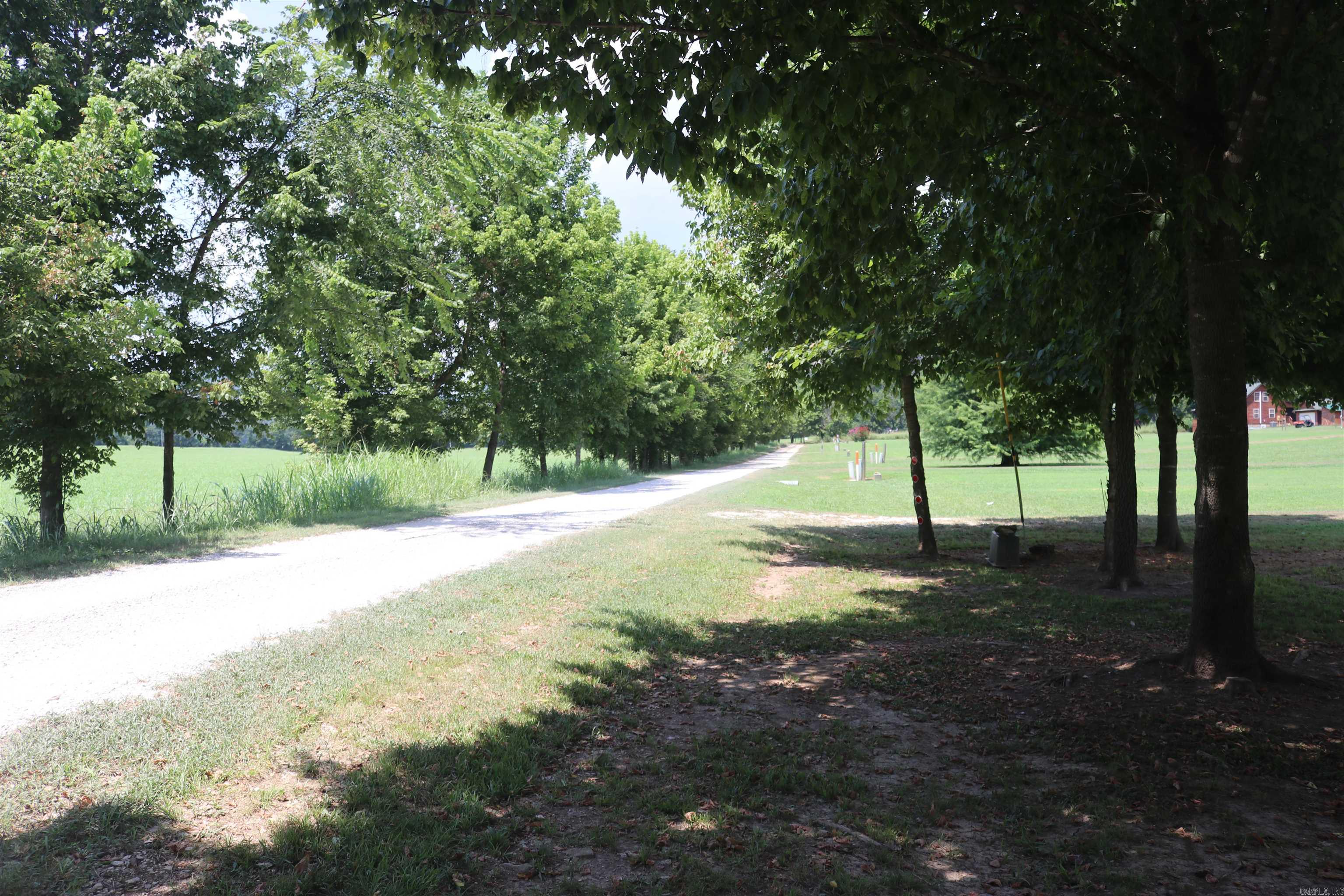  Handford Bluff  Mountain View, AR