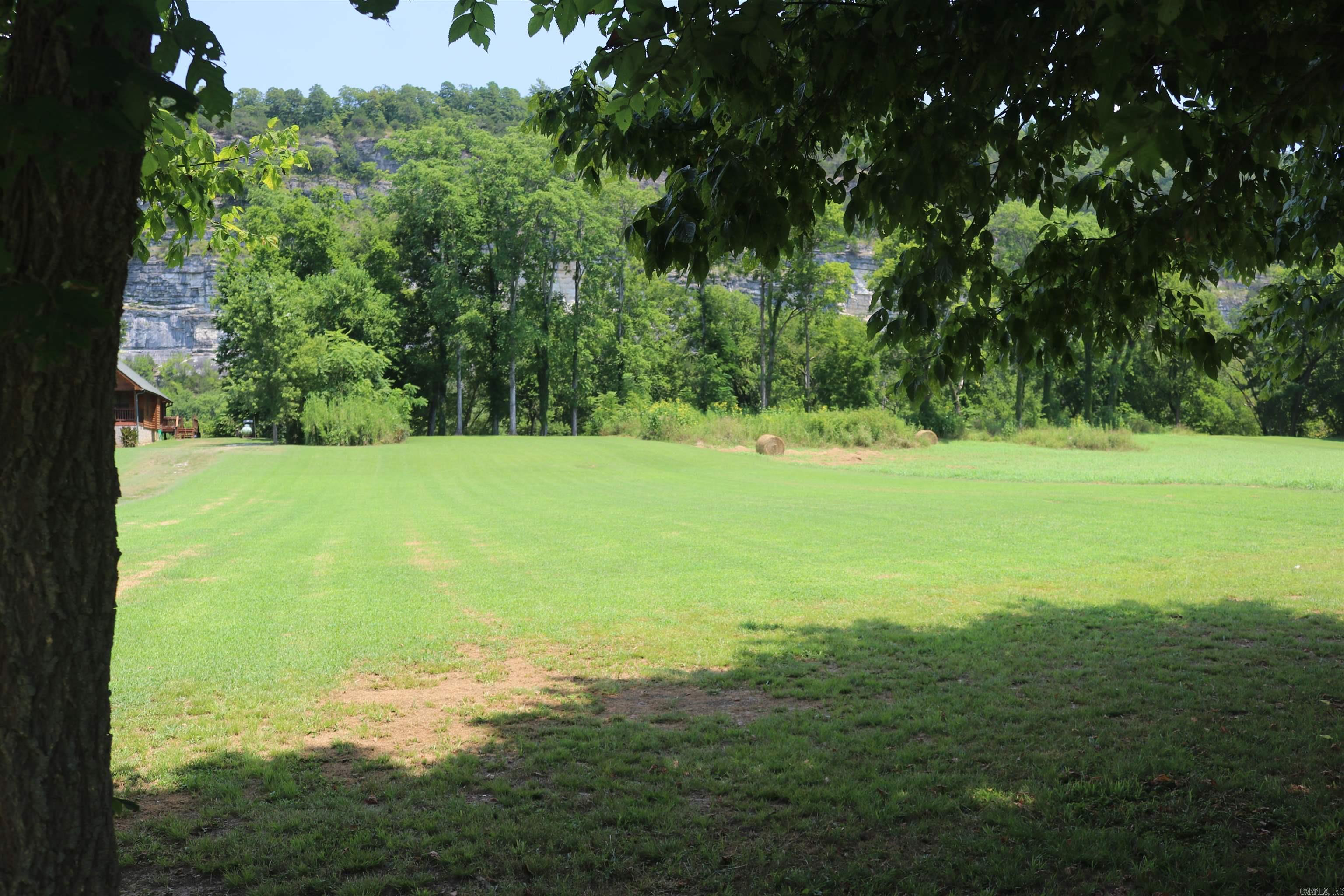  Handford Bluff  Mountain View, AR