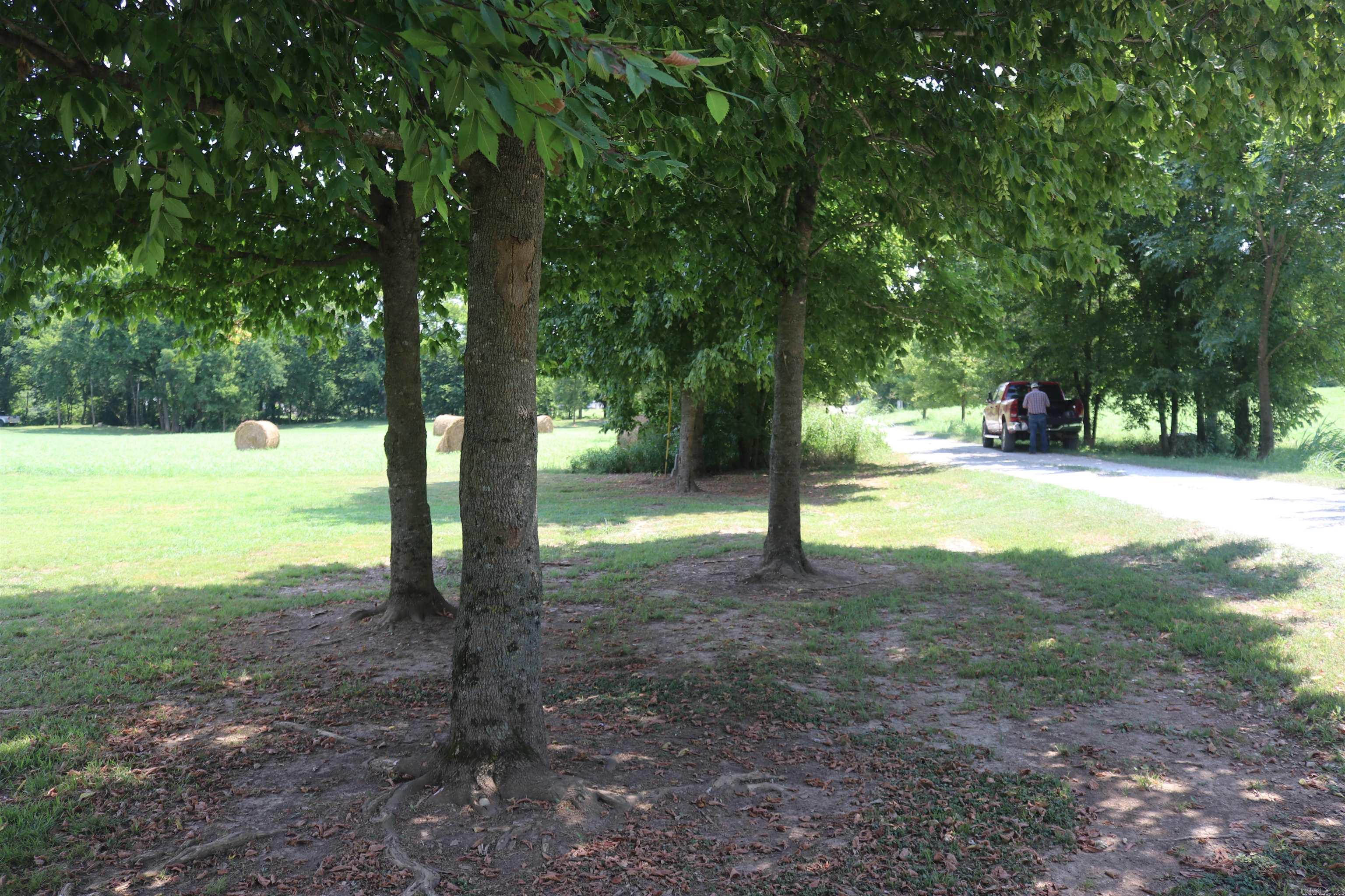  Handford Bluff  Mountain View, AR