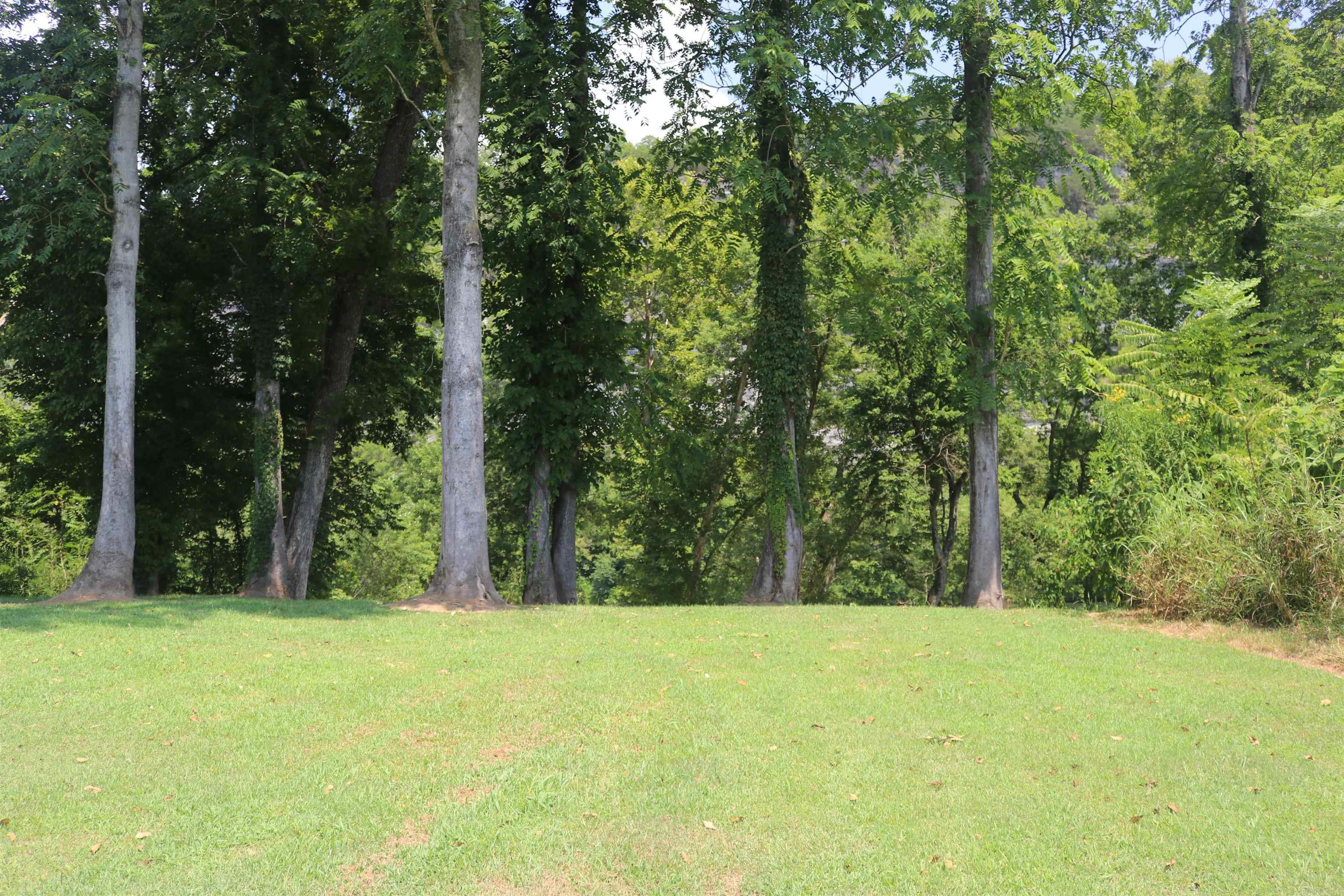  Handford Bluff  Mountain View, AR