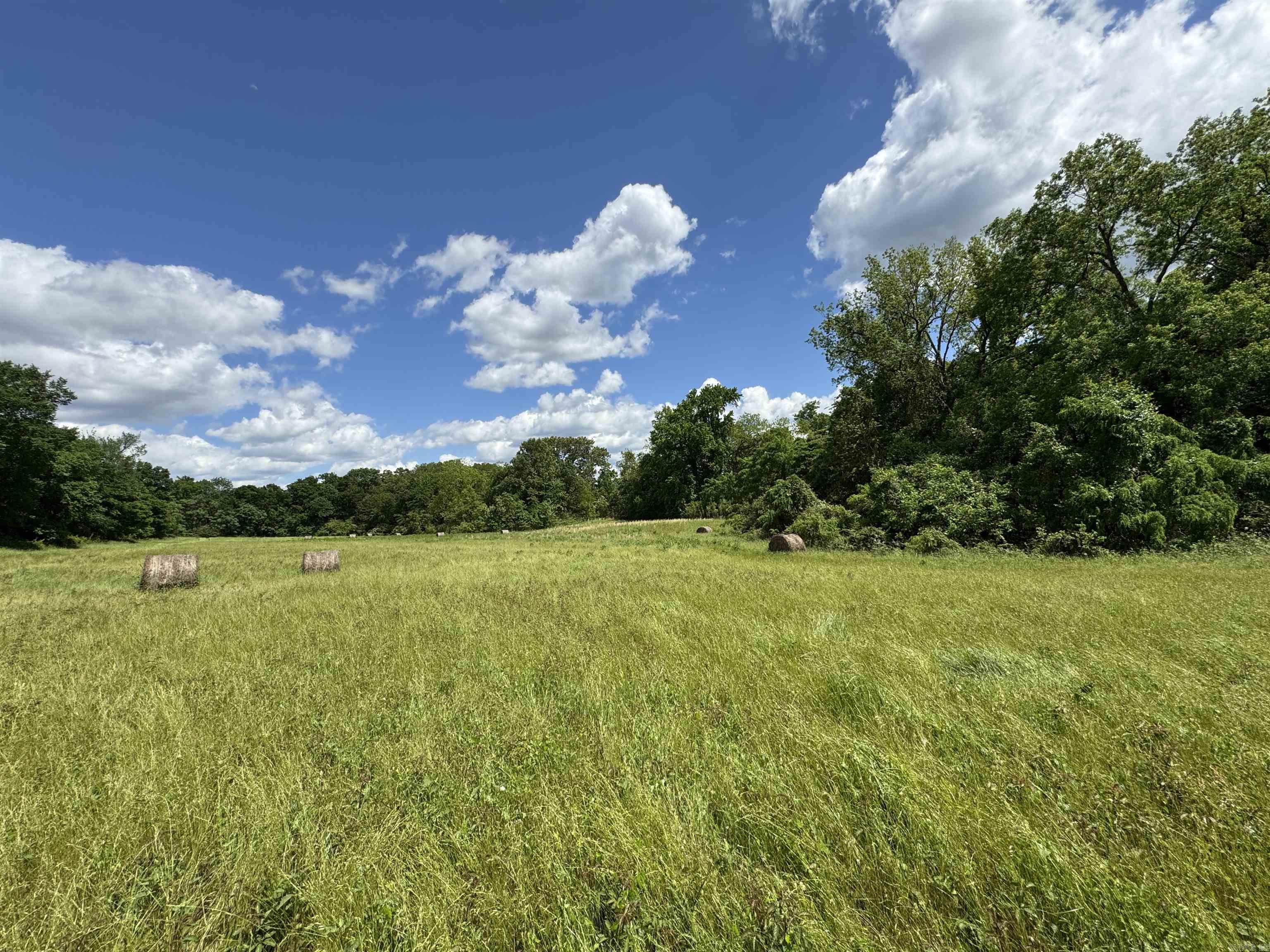 Tract 10 Hwy 105 South  Atkins, AR