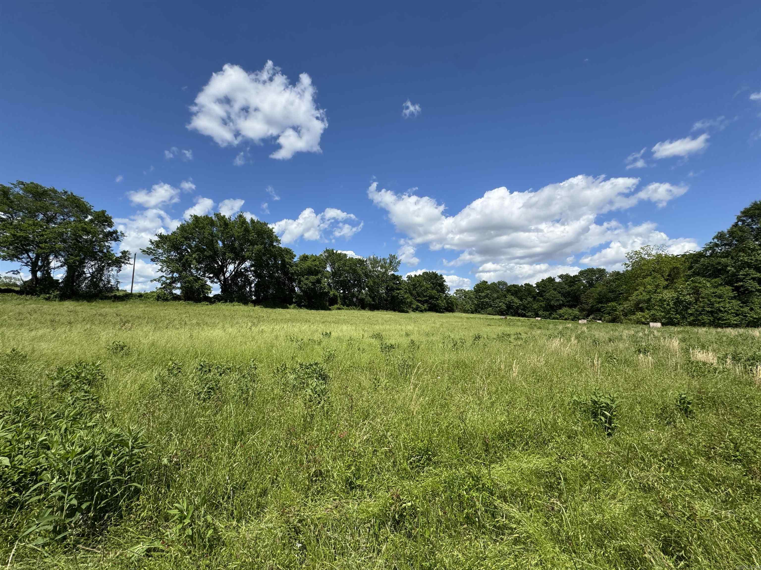 Tract 10 Hwy 105 South  Atkins, AR