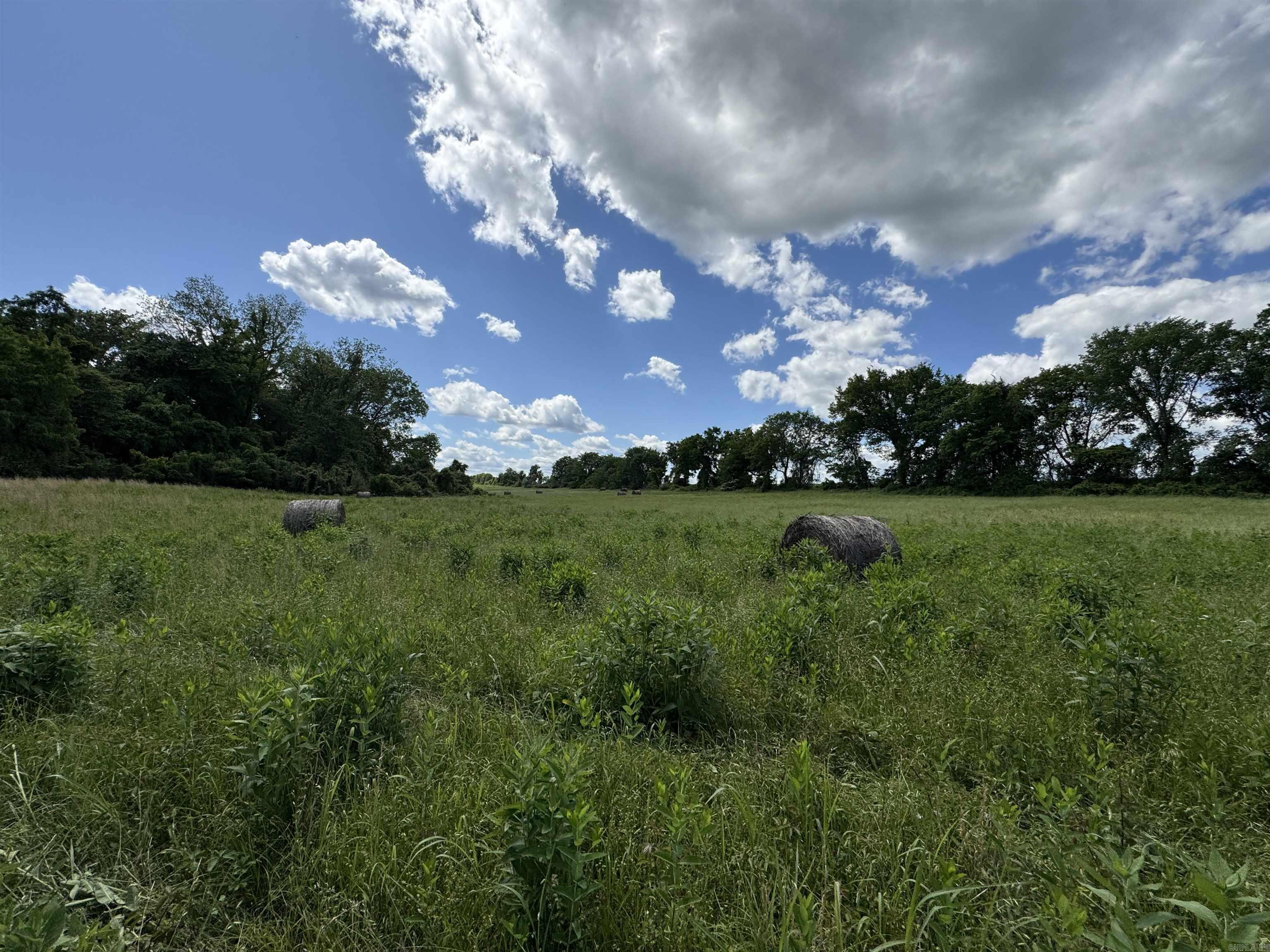 Tract 10 Hwy 105 South  Atkins, AR