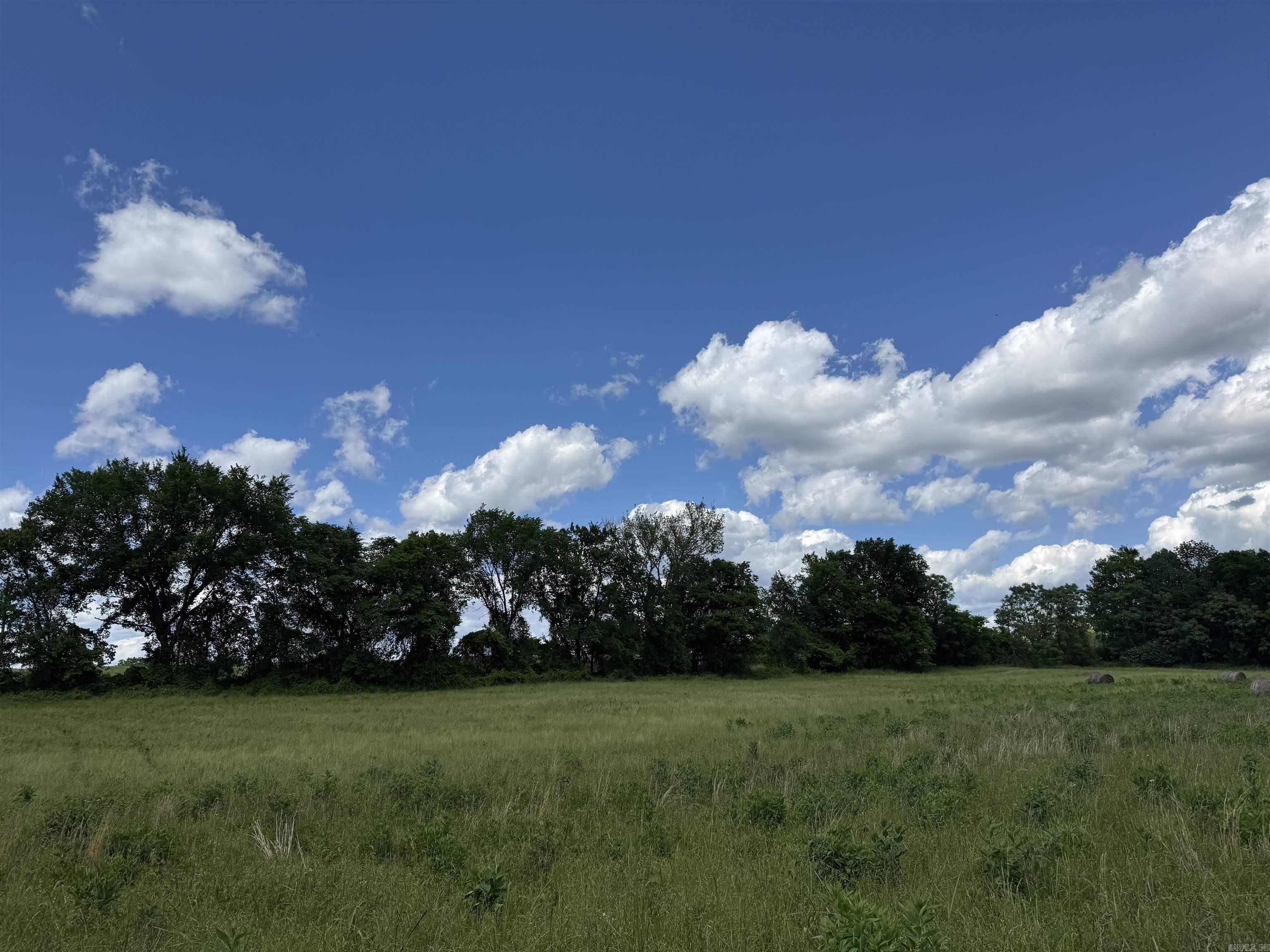 Tract 10 Hwy 105 South  Atkins, AR