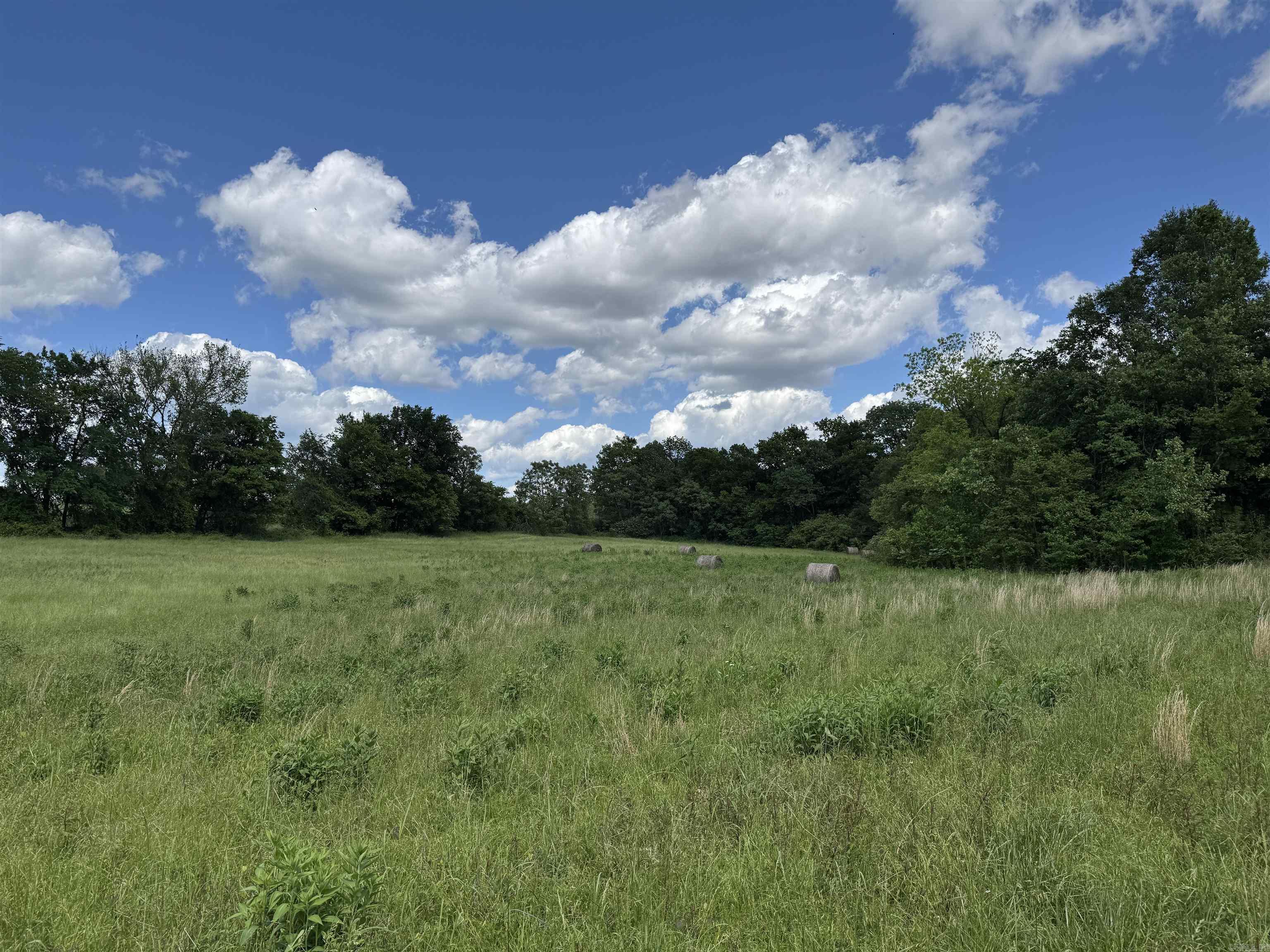 Tract 10 Hwy 105 South  Atkins, AR