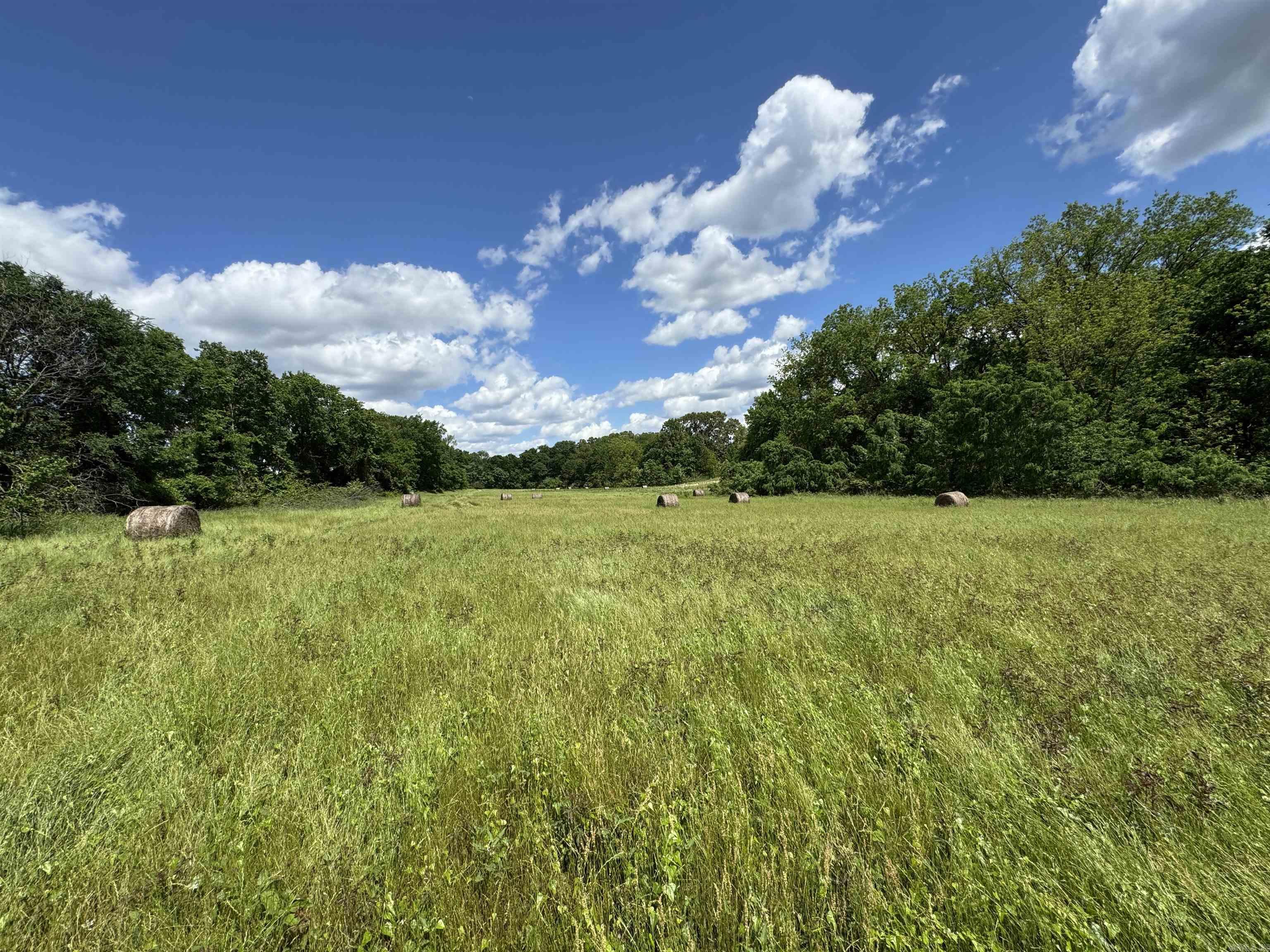 Tract 10 Hwy 105 South  Atkins, AR