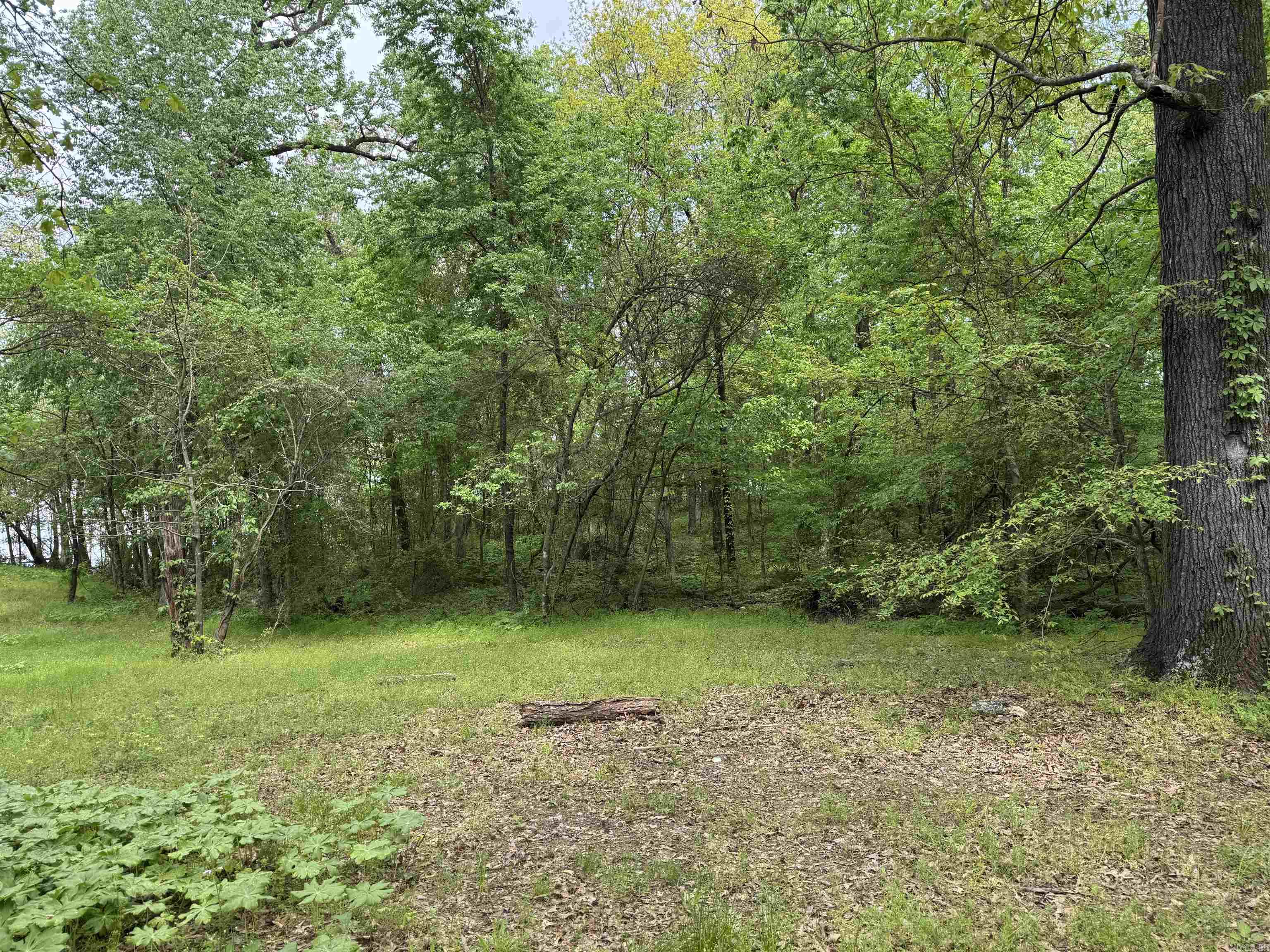 Tract 1 East Bay Road  Atkins, AR