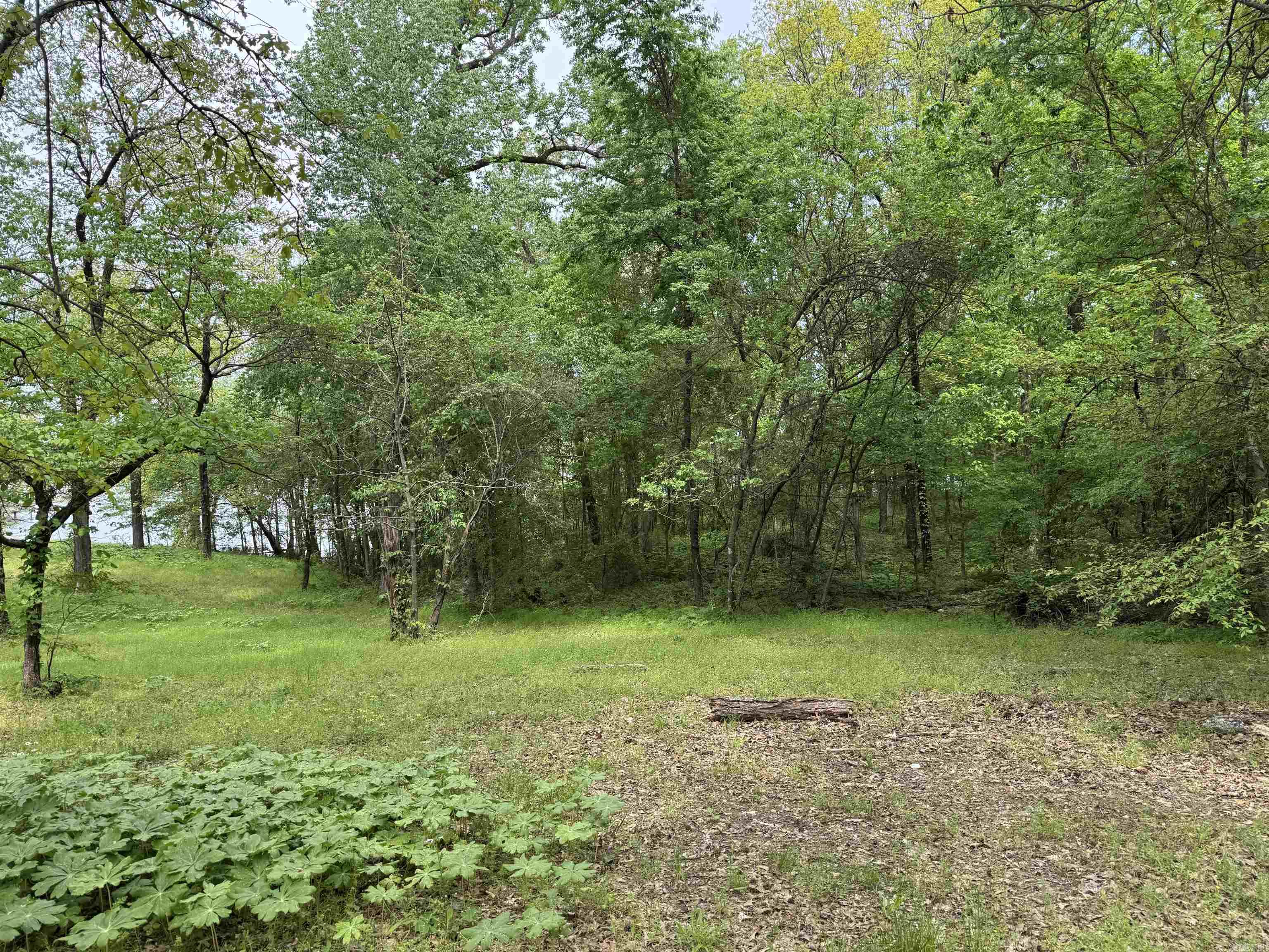 Tract 1 East Bay Road  Atkins, AR