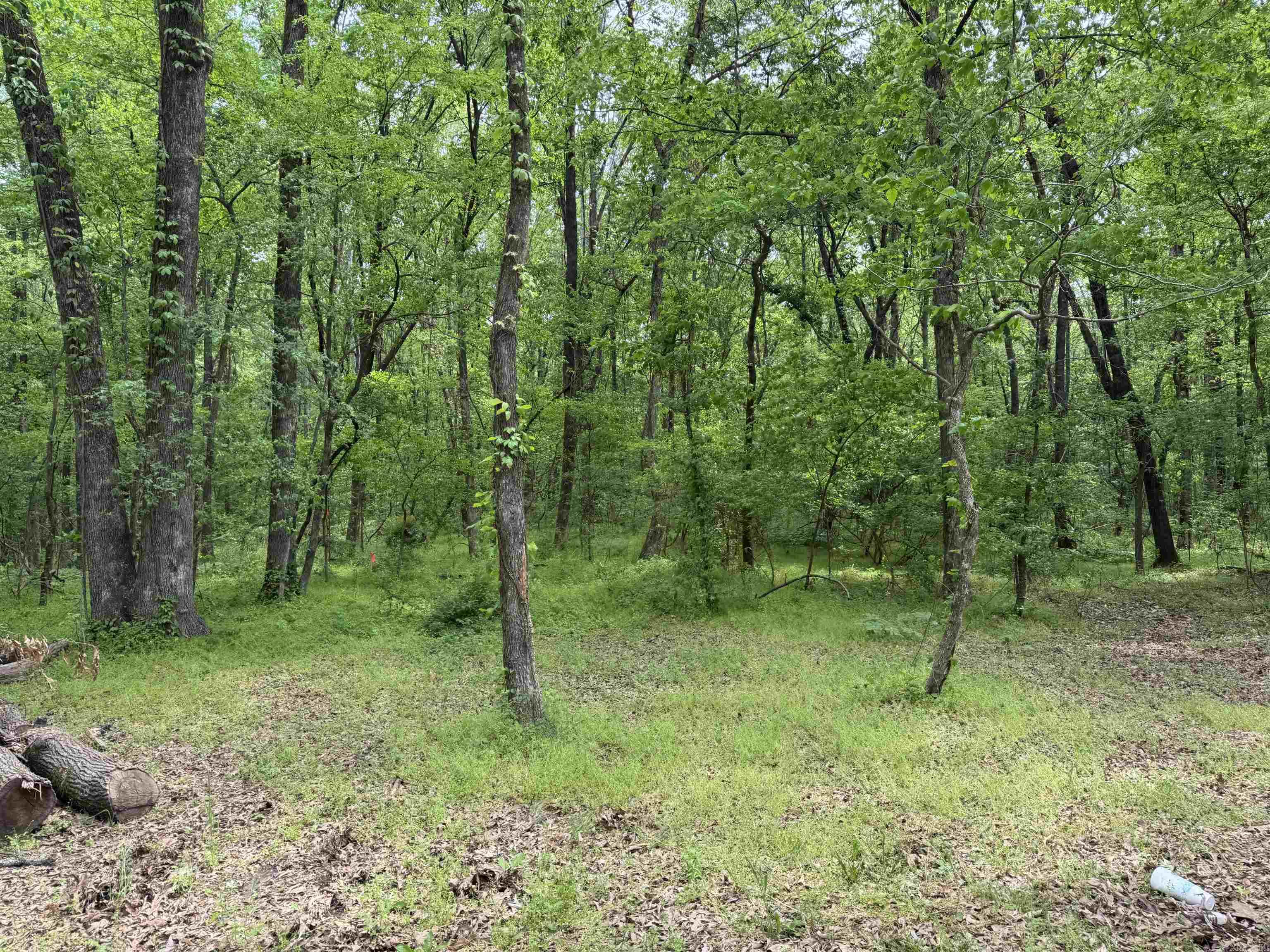 Tract 1 East Bay Road  Atkins, AR