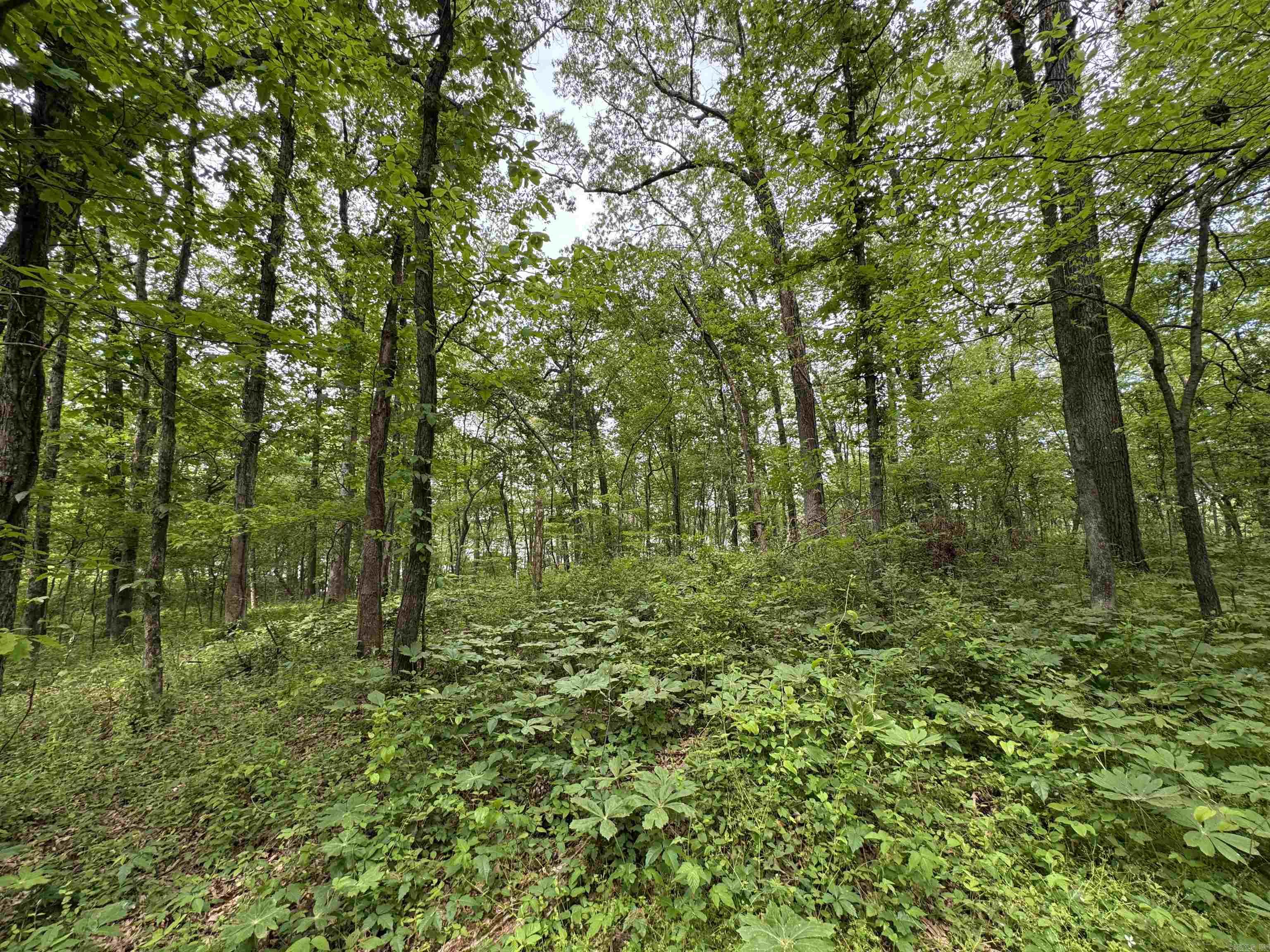 Tract 1 East Bay Road  Atkins, AR