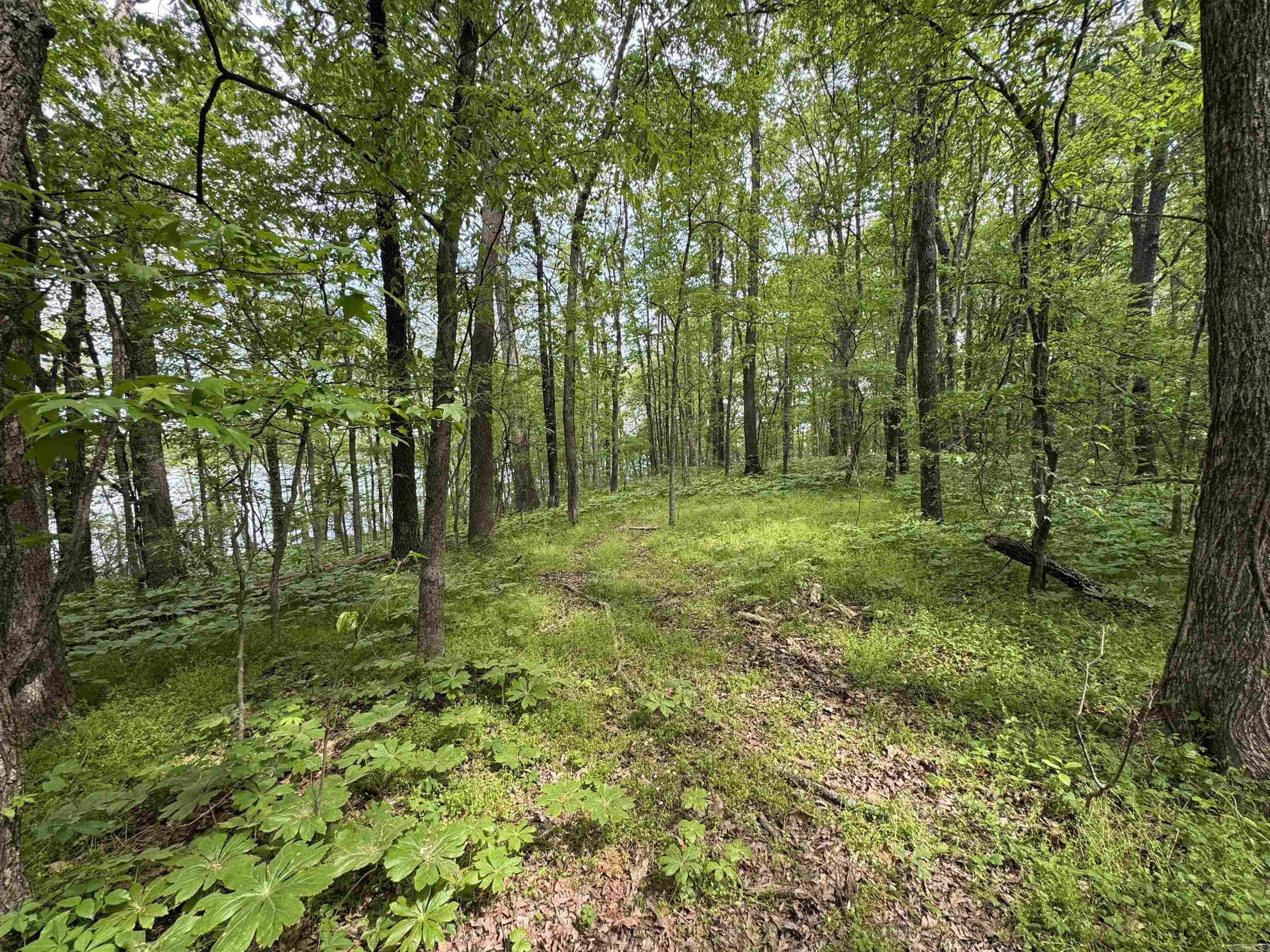 Tract 1 East Bay Road  Atkins, AR