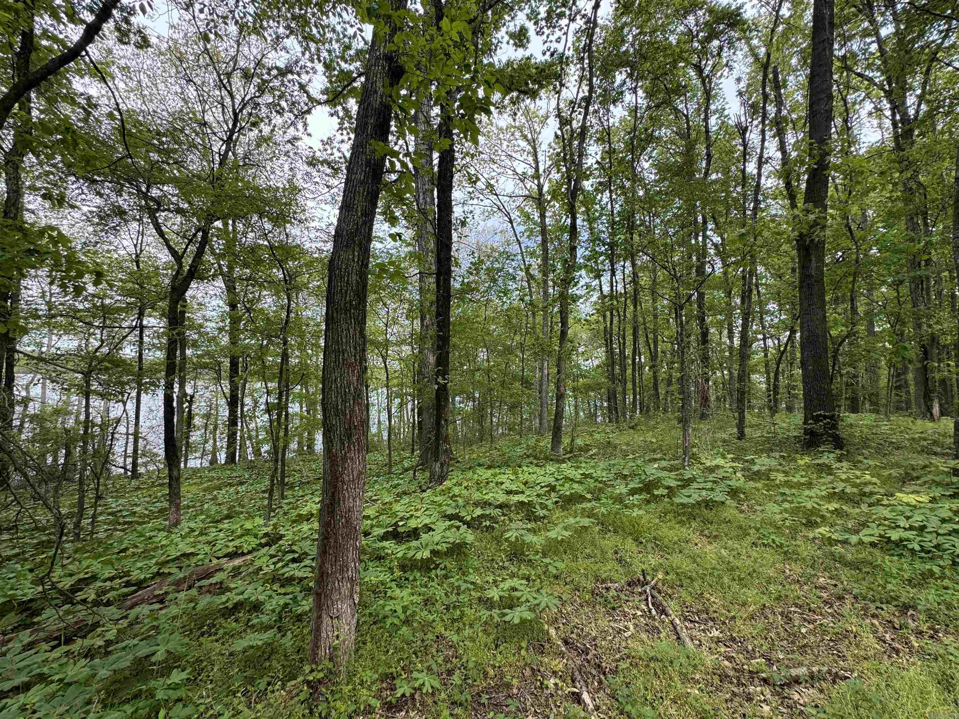 Tract 1 East Bay Road  Atkins, AR
