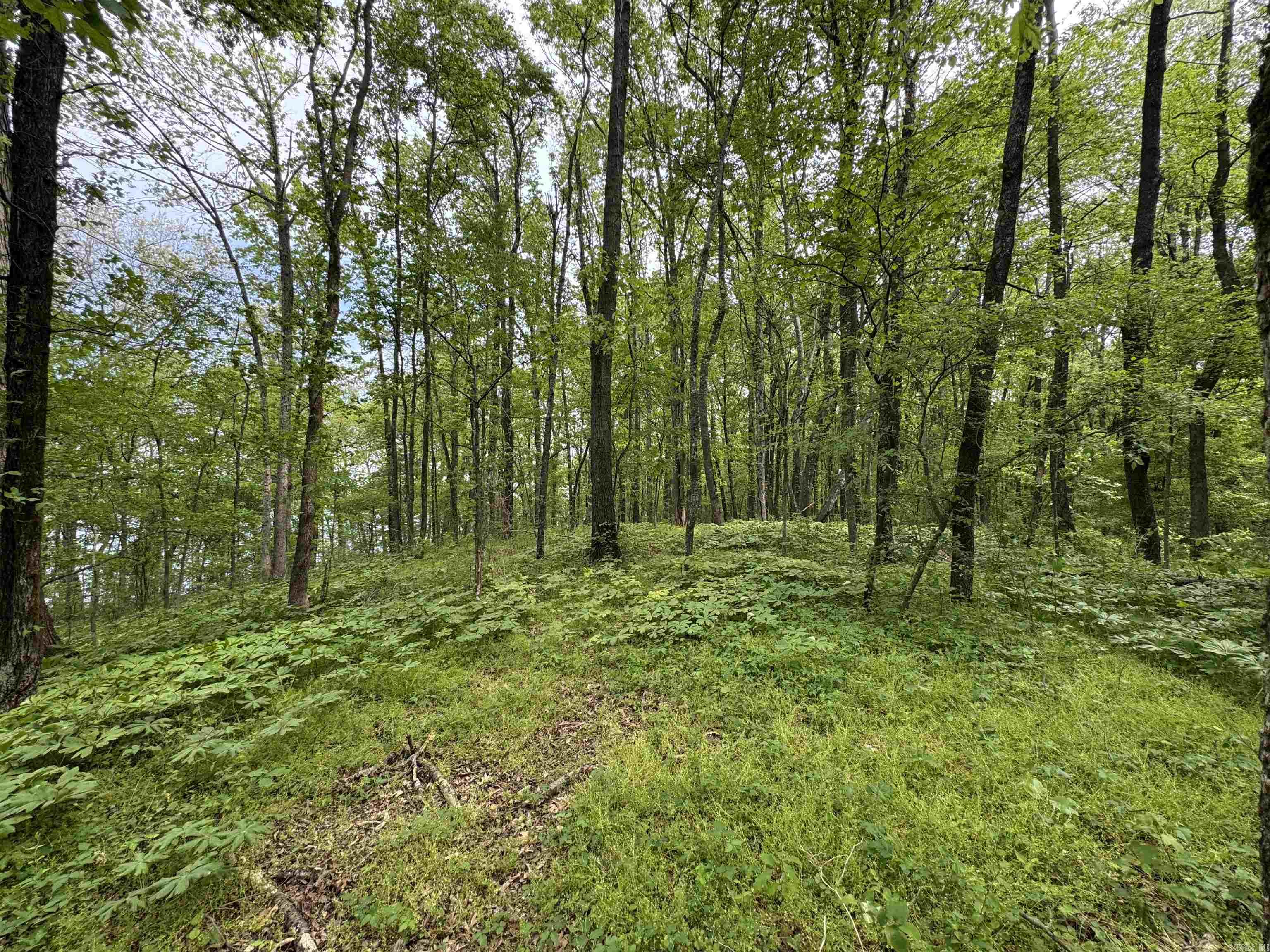 Tract 1 East Bay Road  Atkins, AR