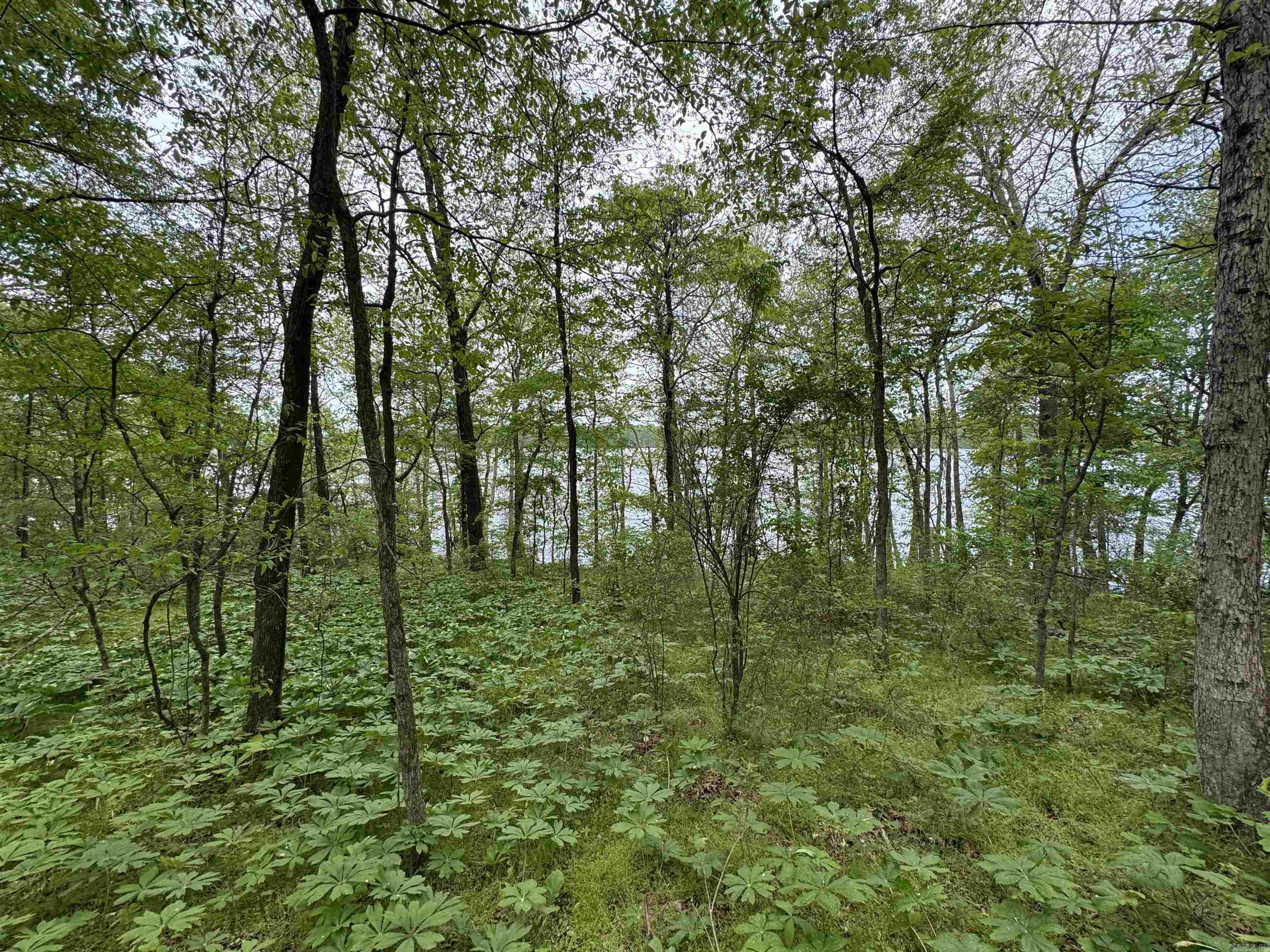 Tract 1 East Bay Road  Atkins, AR