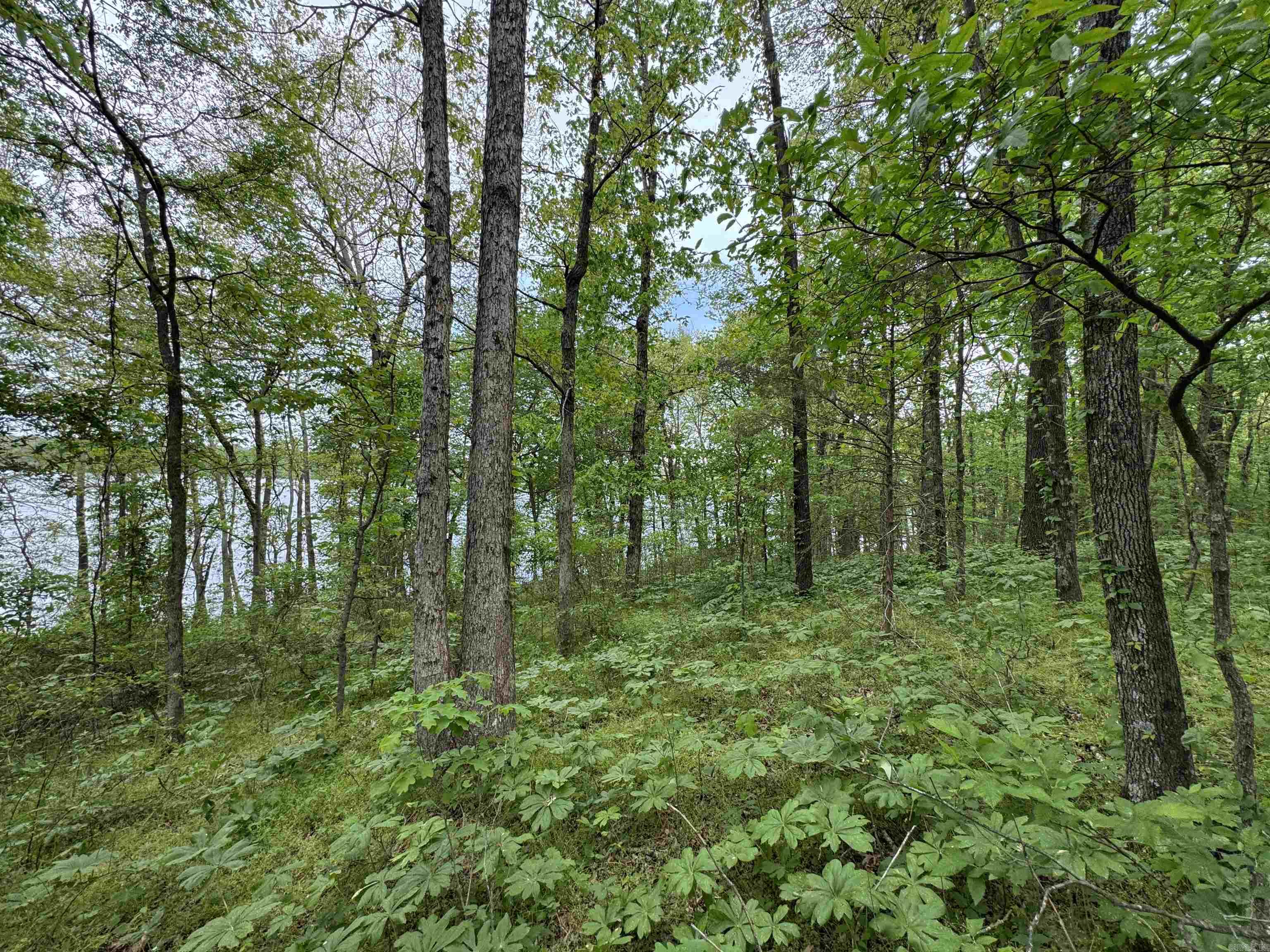 Tract 1 East Bay Road  Atkins, AR
