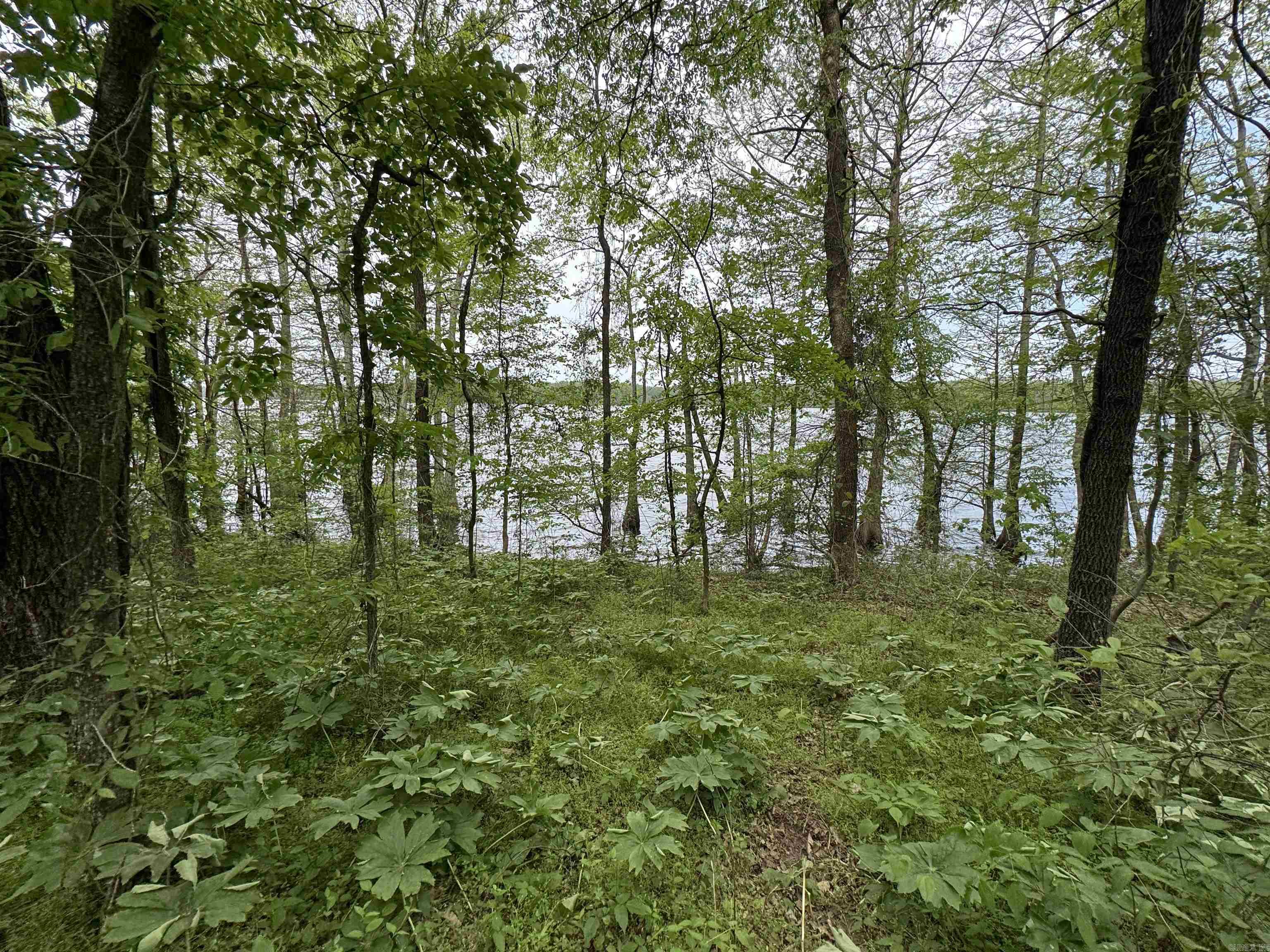 Tract 1 East Bay Road  Atkins, AR