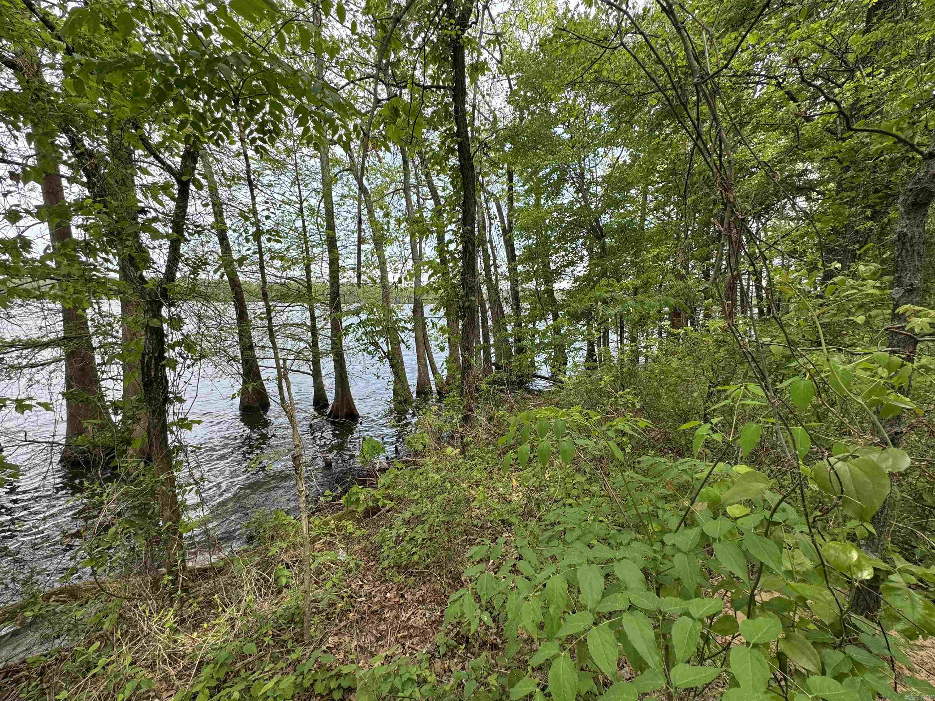 Tract 1 East Bay Road  Atkins, AR