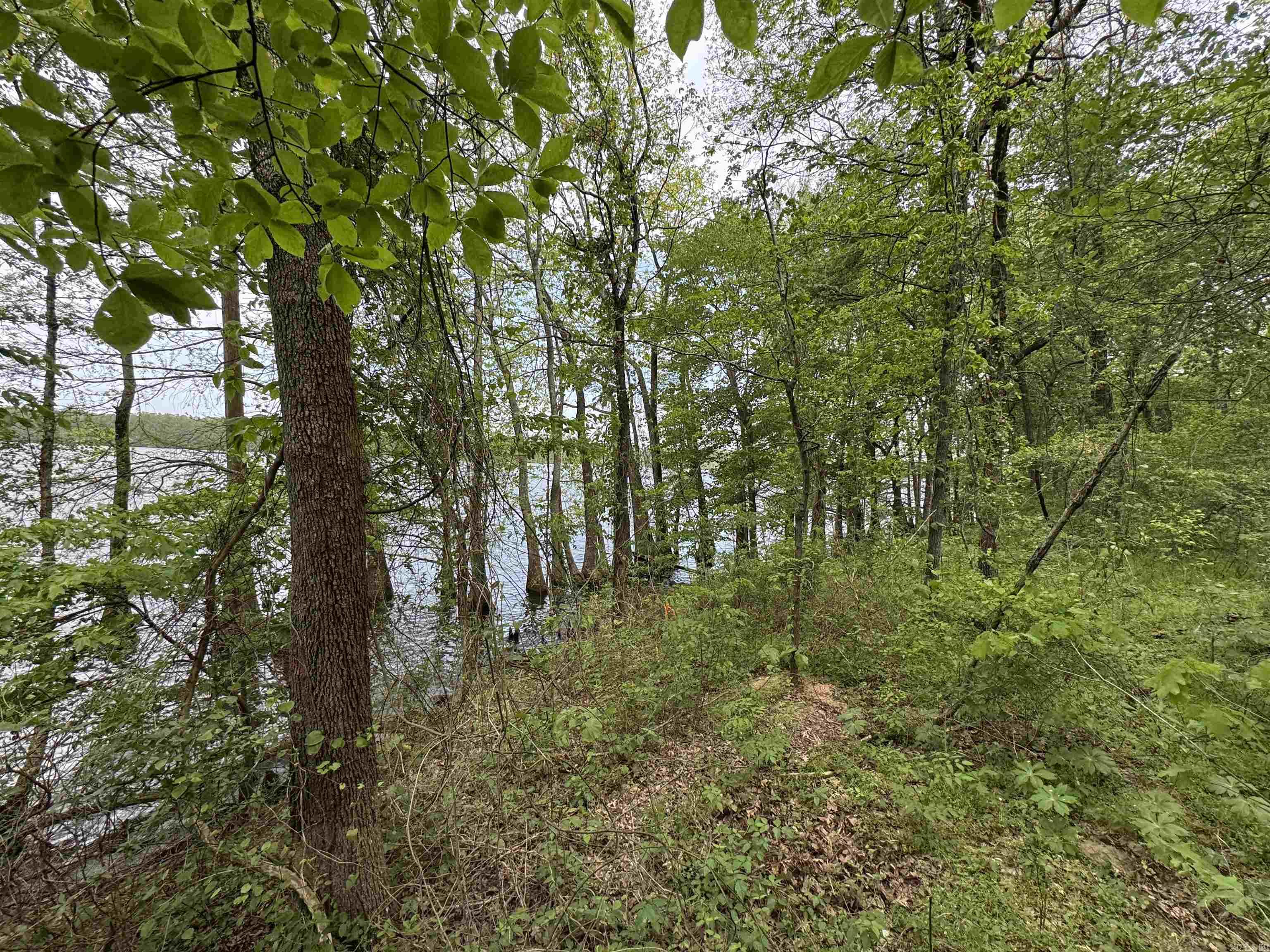 Tract 1 East Bay Road  Atkins, AR