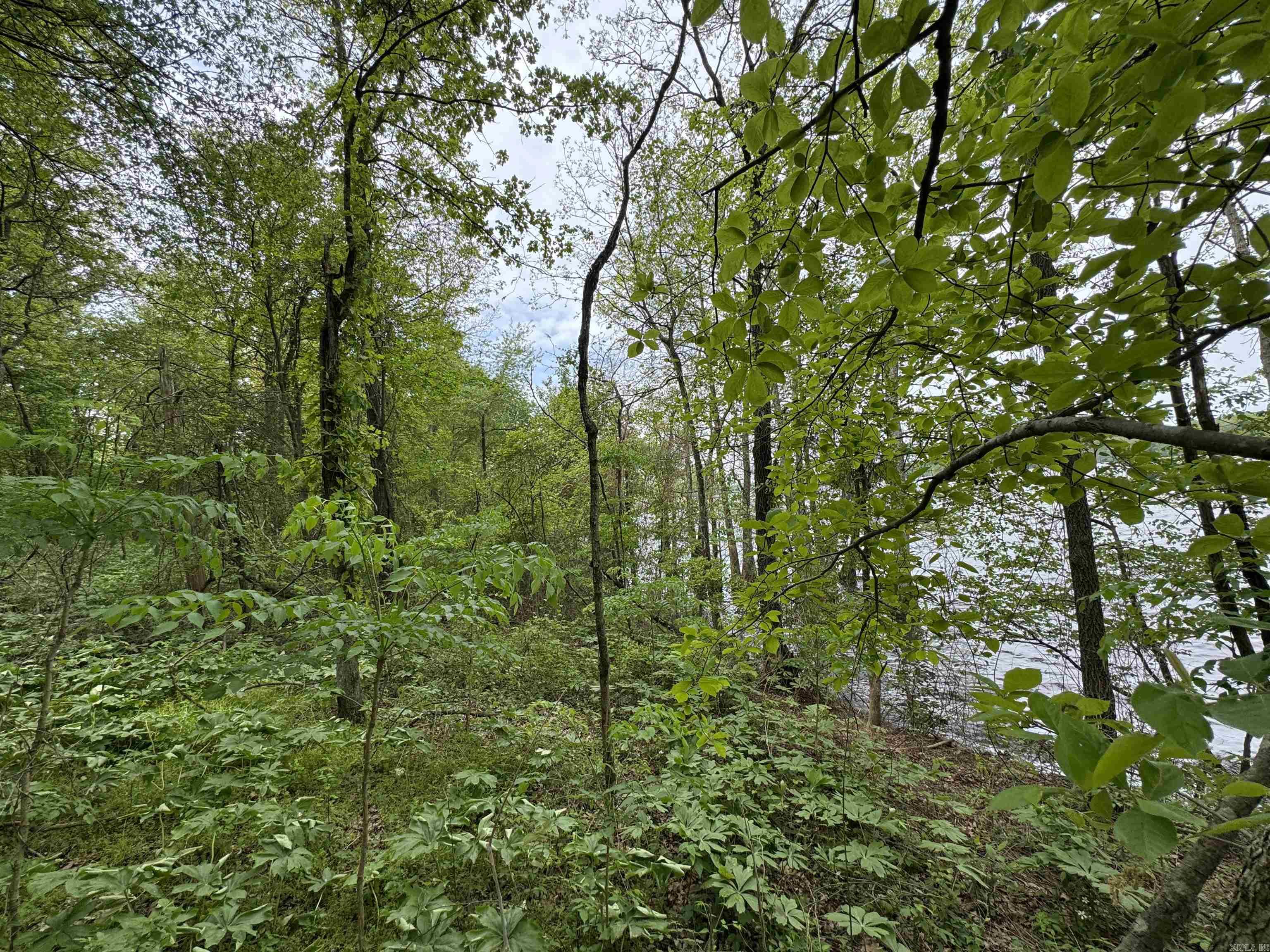 Tract 1 East Bay Road  Atkins, AR