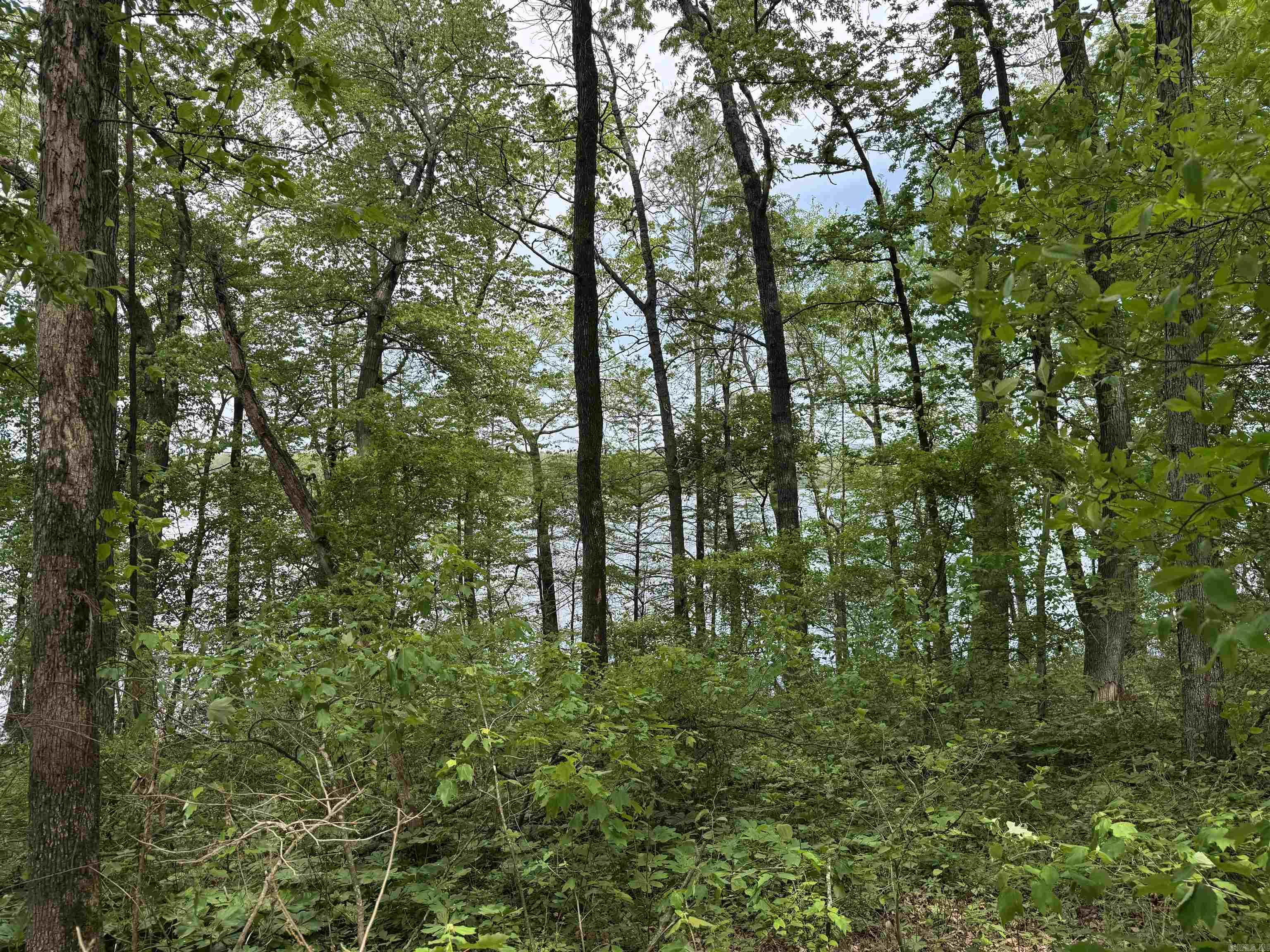 Tract 1 East Bay Road  Atkins, AR