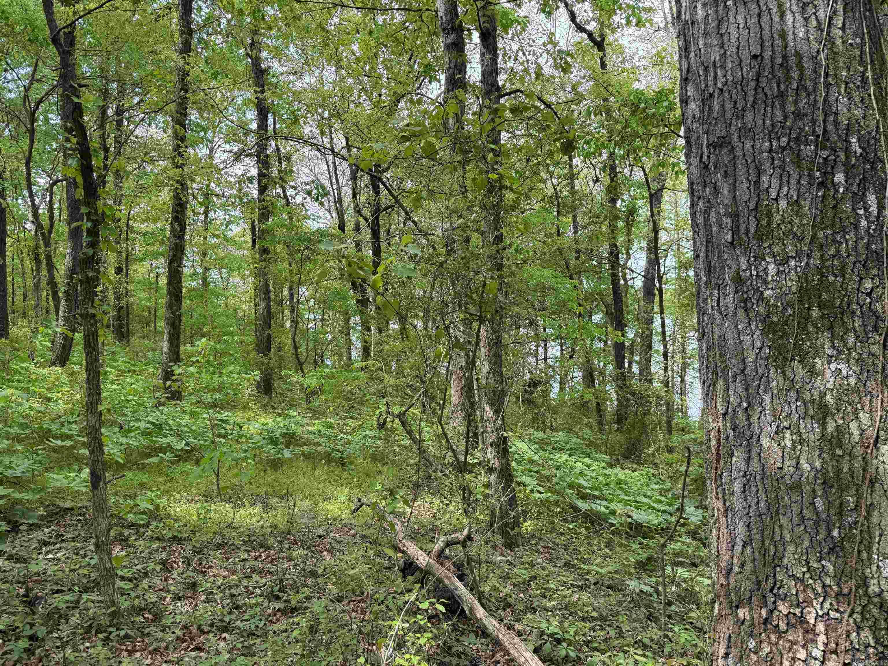 Tract 1 East Bay Road  Atkins, AR